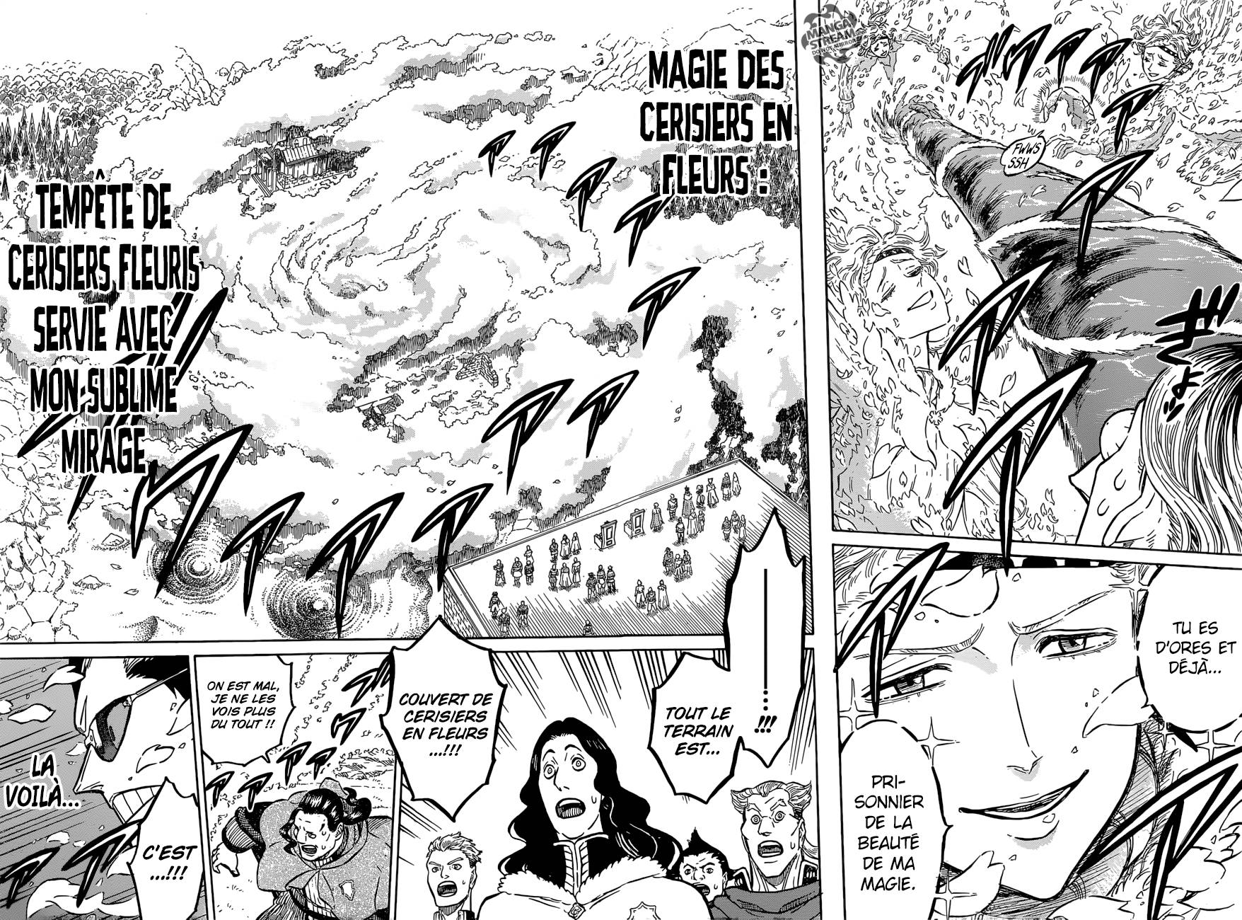 Lecture en ligne Black Clover 116 page 13