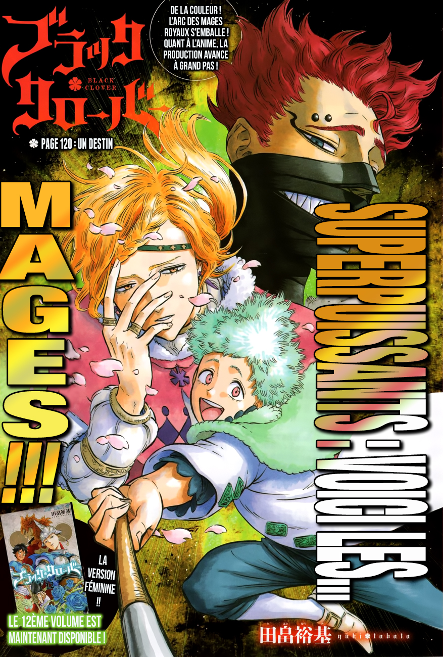 Lecture en ligne Black Clover 120 page 2