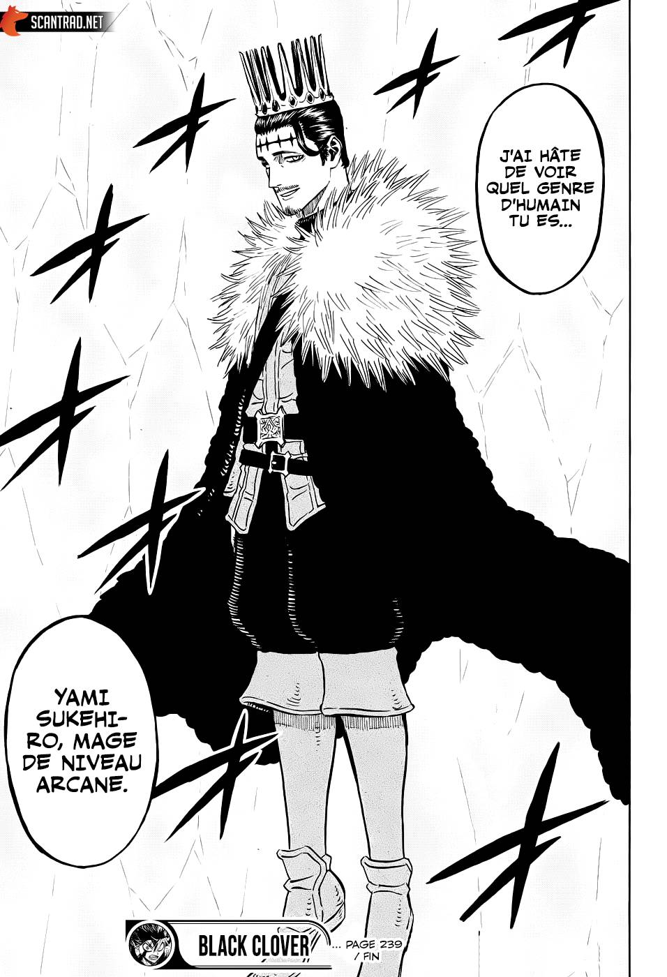 lecture en ligne Black Clover 239 page 13