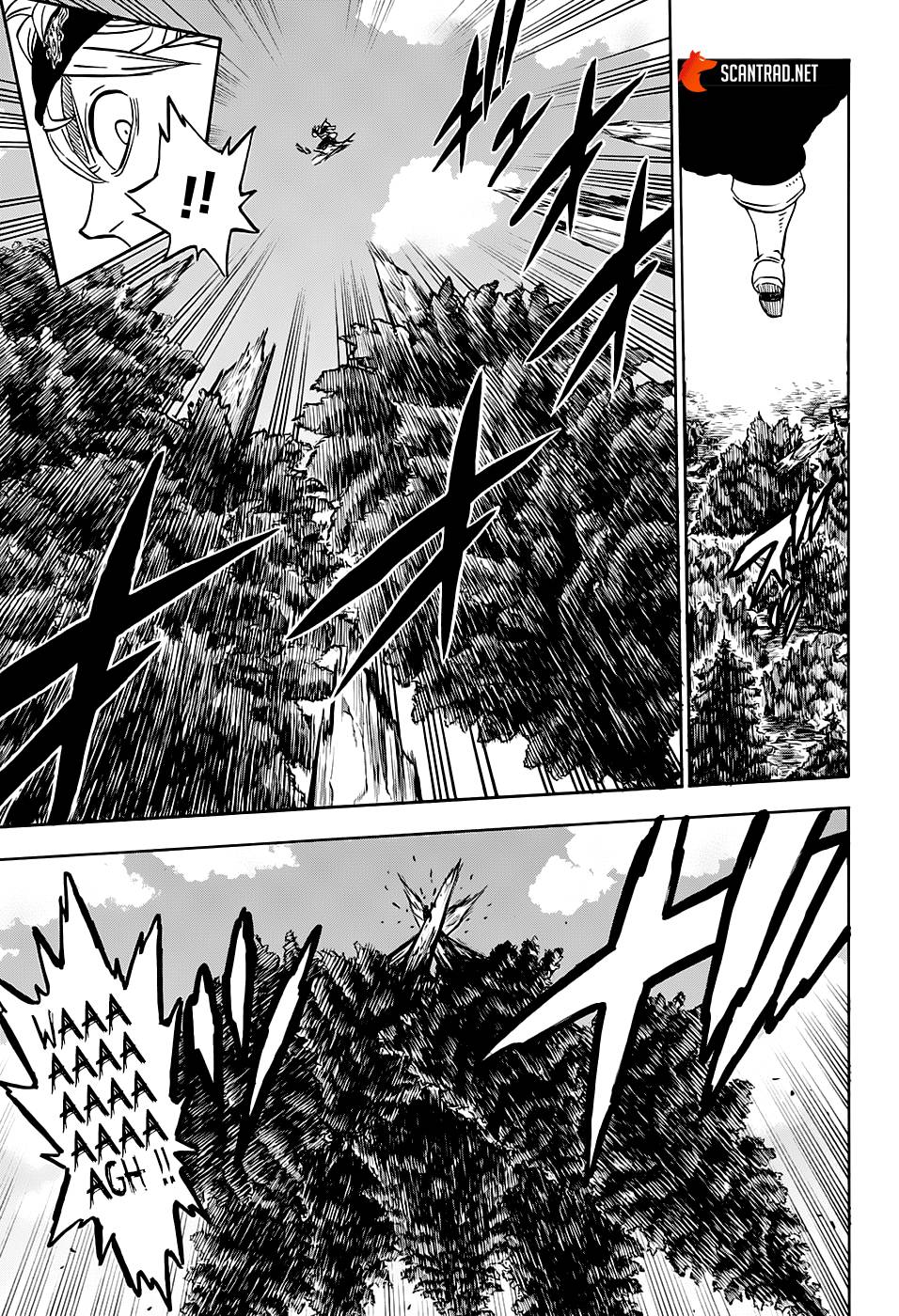 Lecture en ligne Black Clover 241 page 4