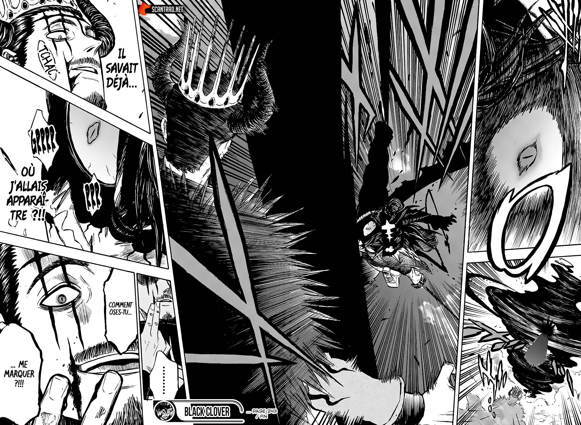 lecture en ligne Black Clover 243 page 14