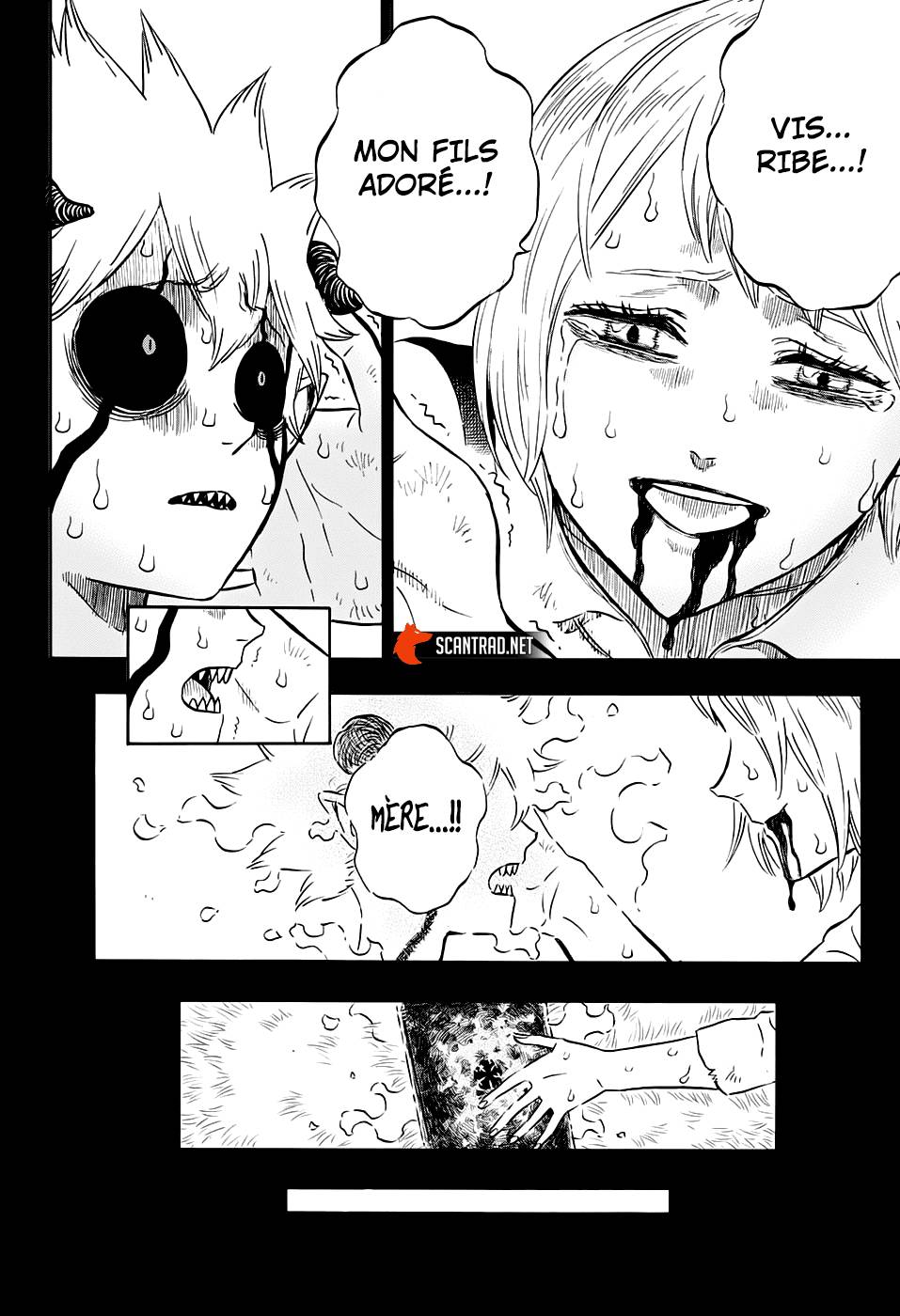 Lecture en ligne Black Clover 268 page 14