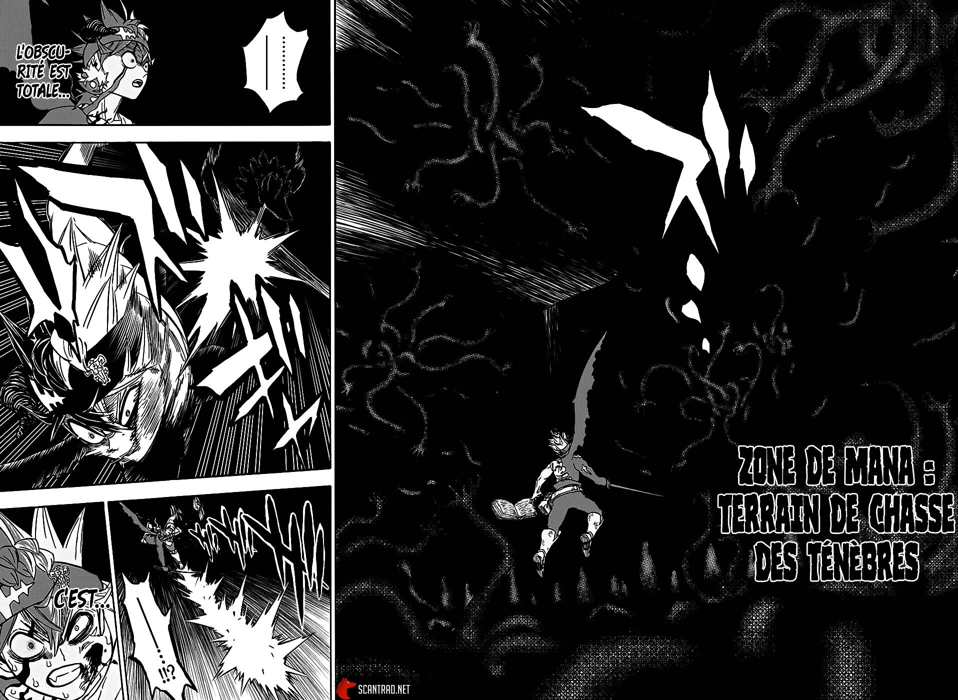 Lecture en ligne Black Clover 272 page 12