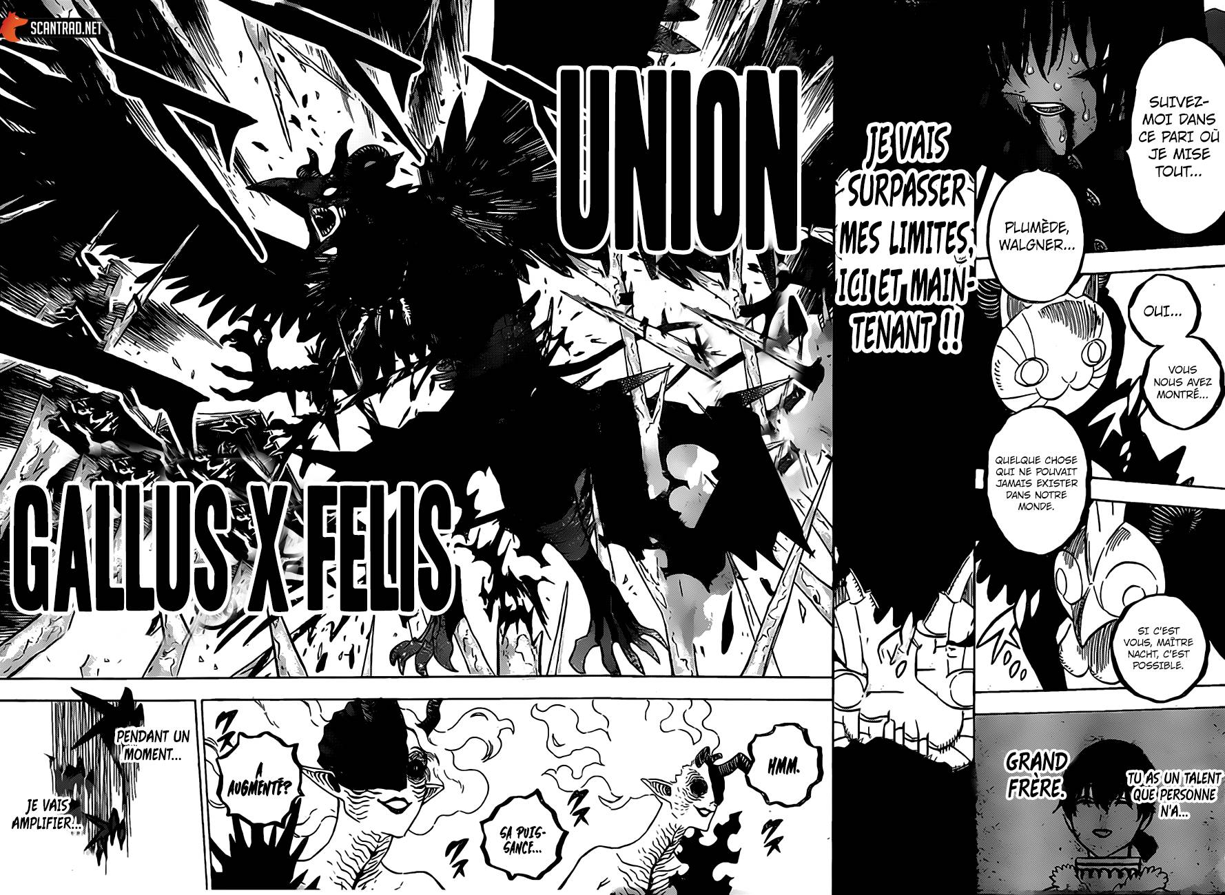 Lecture en ligne Black Clover 287 page 6