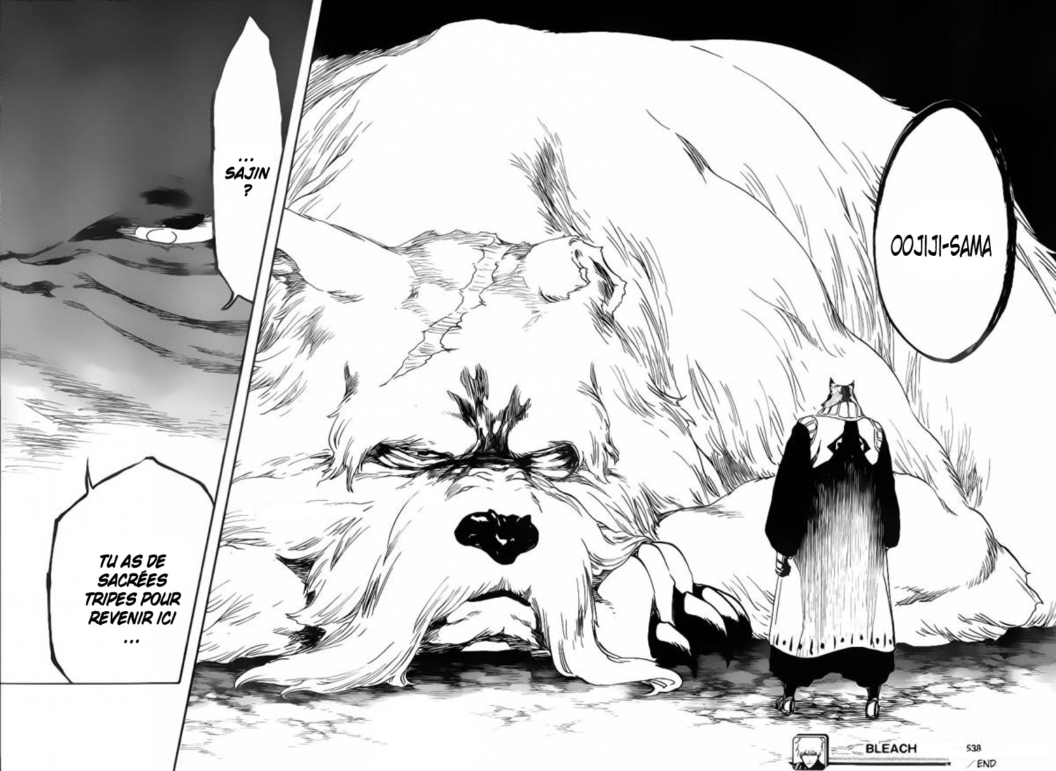 lecture en ligne Bleach 538 page 17