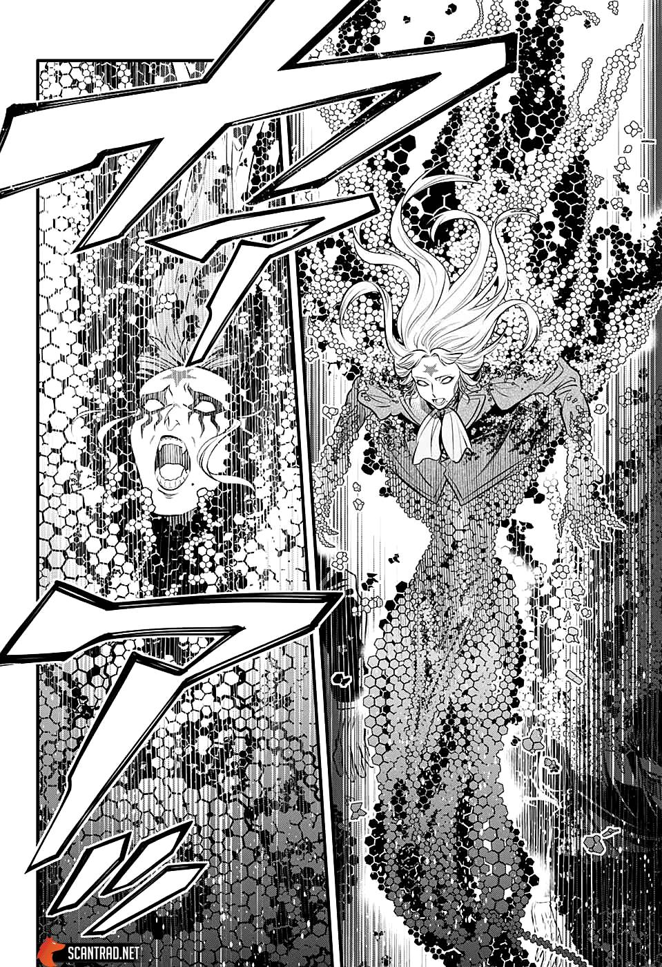 Lecture en ligne D Gray Man 243 page 12