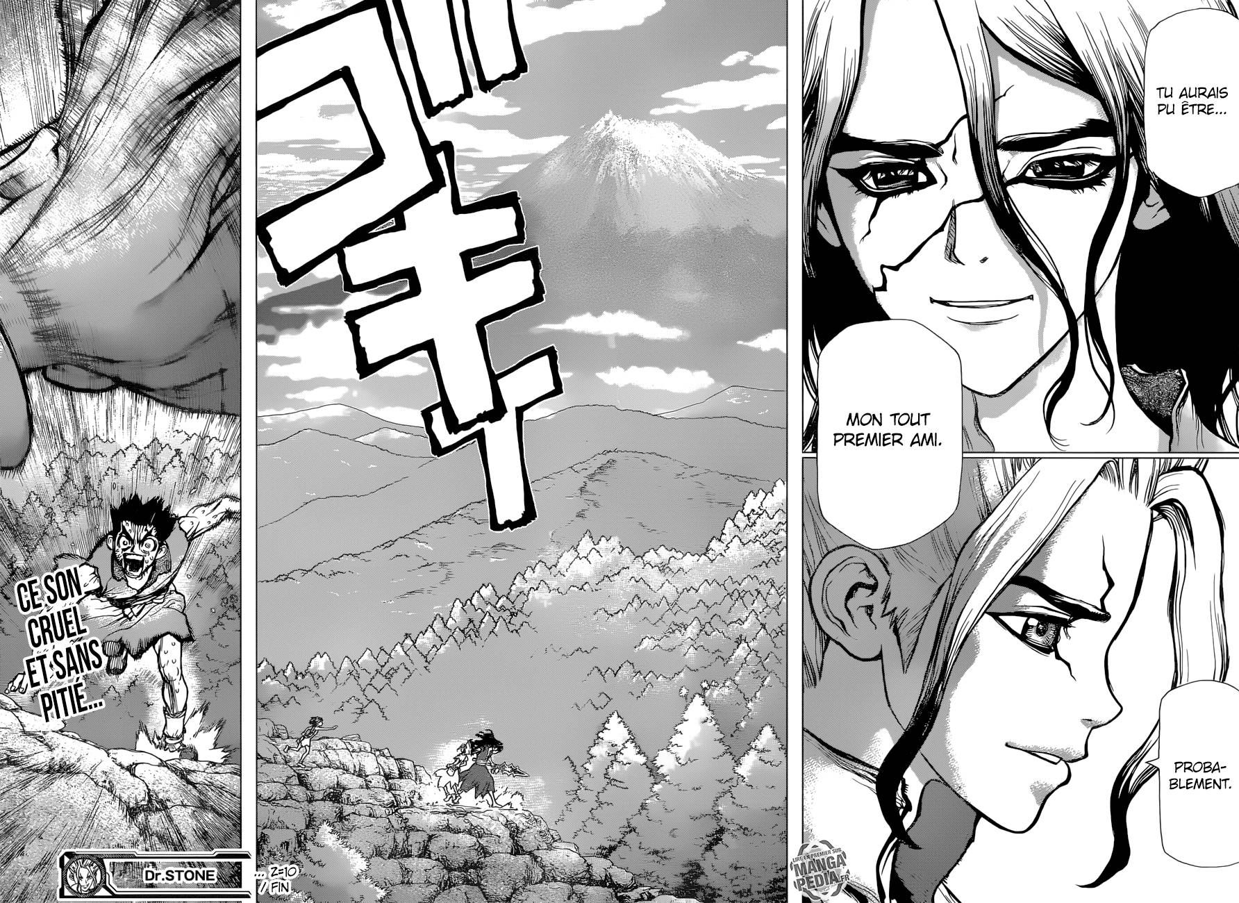 lecture en ligne Dr Stone 10 page 17