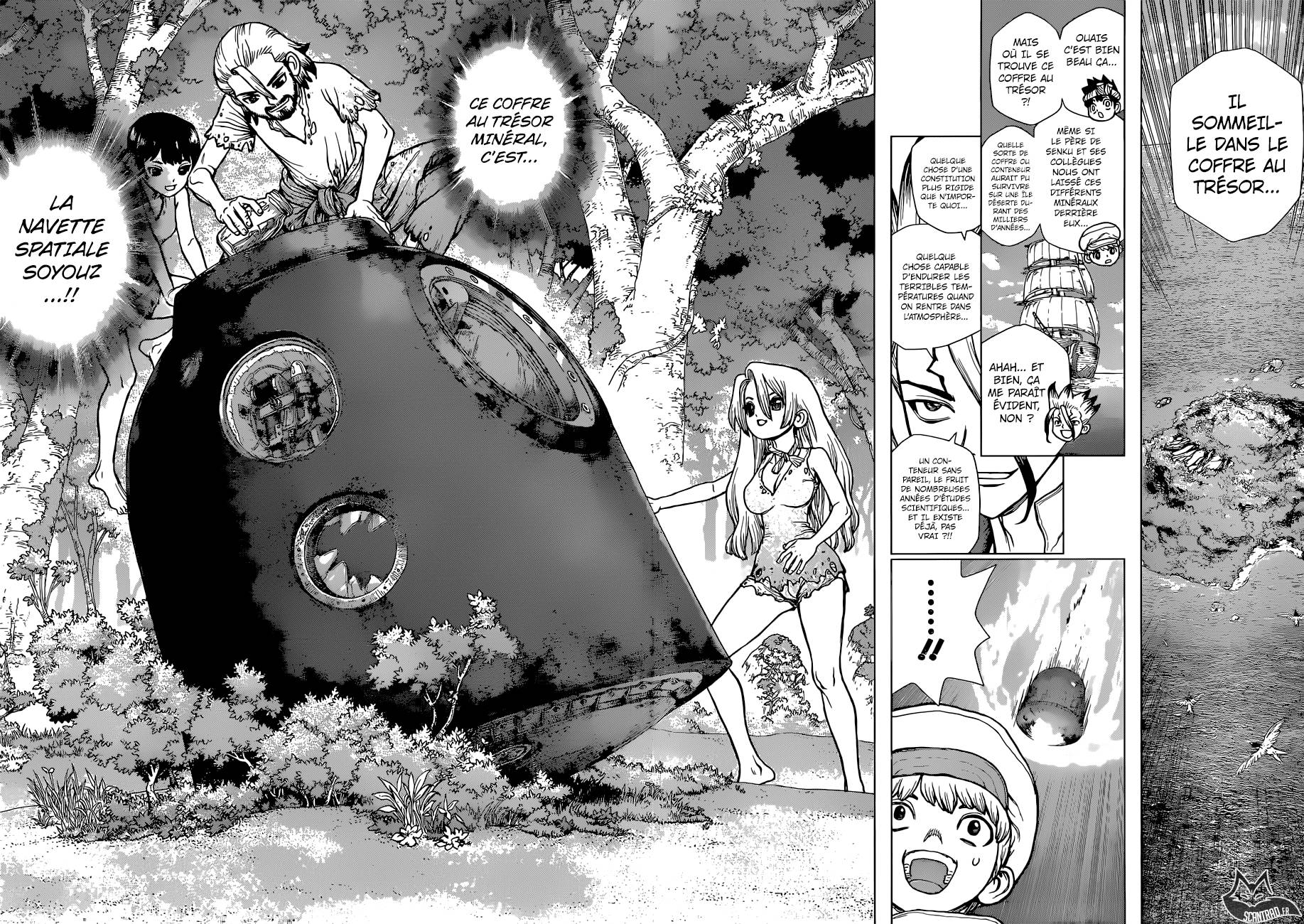 Lecture en ligne Dr Stone 101 page 14