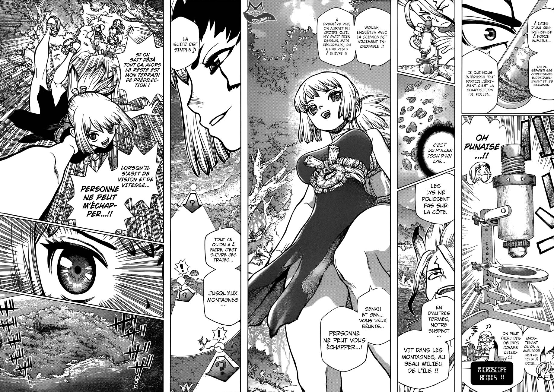 Lecture en ligne Dr Stone 104 page 14