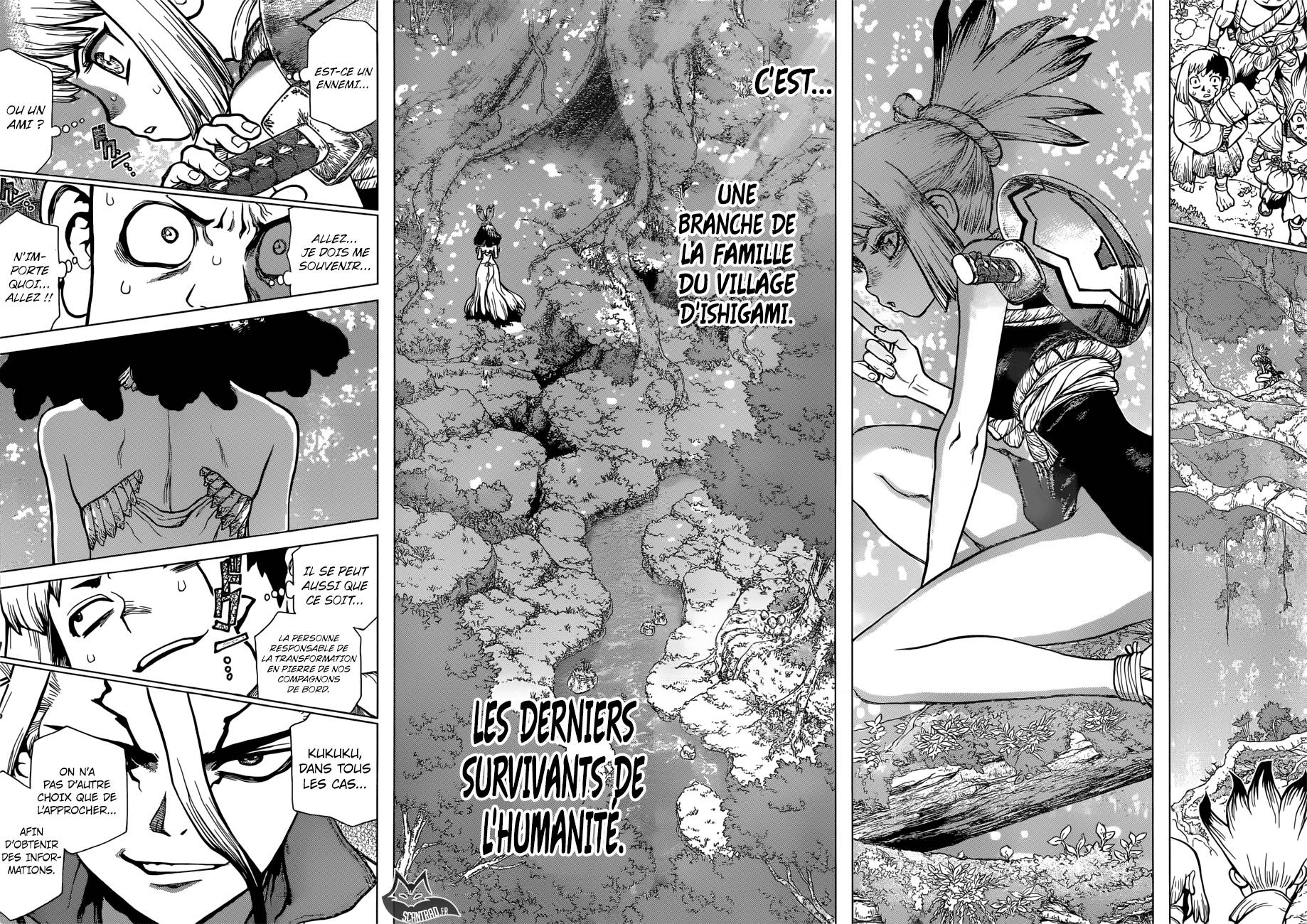 Lecture en ligne Dr Stone 104 page 15