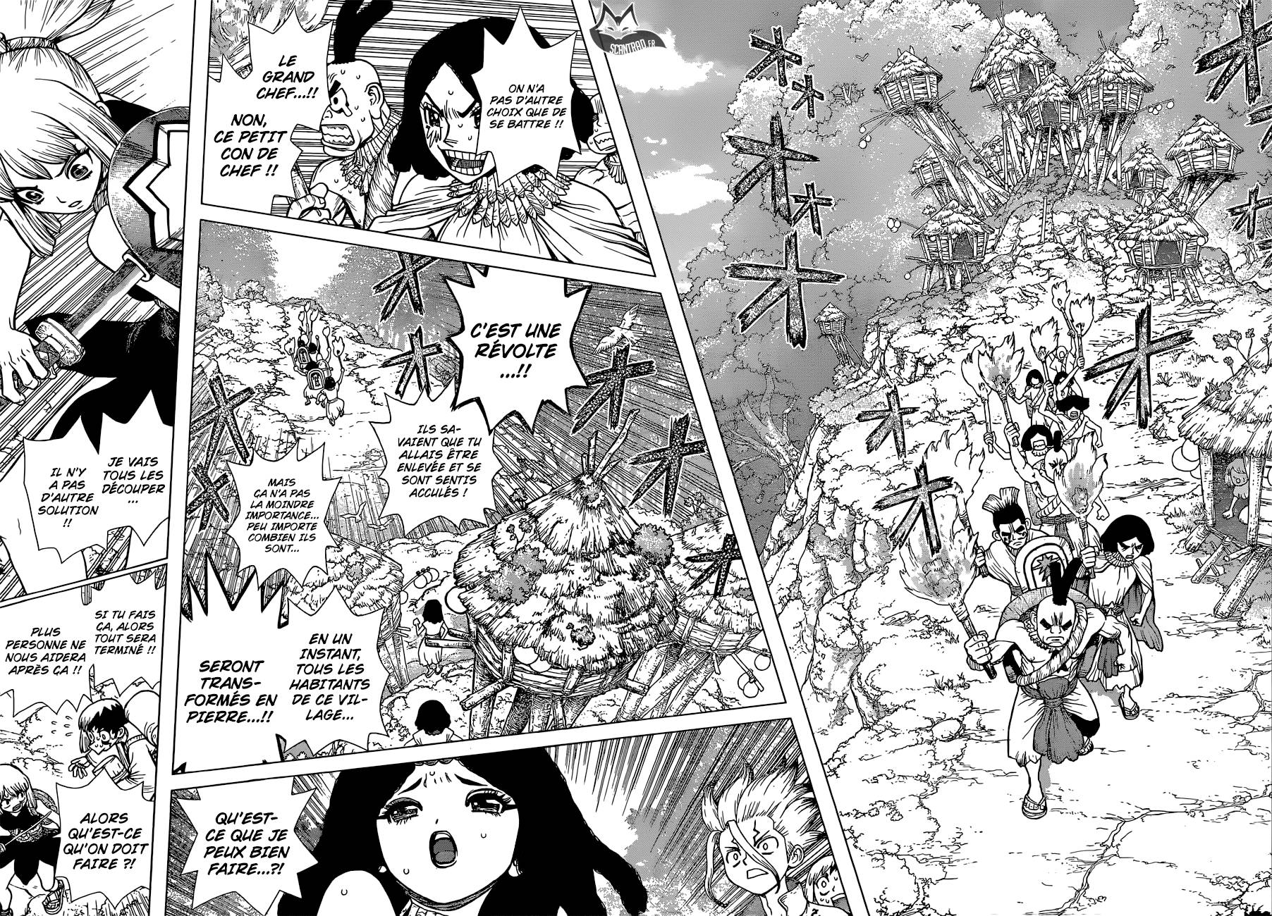 Lecture en ligne Dr Stone 105 page 13