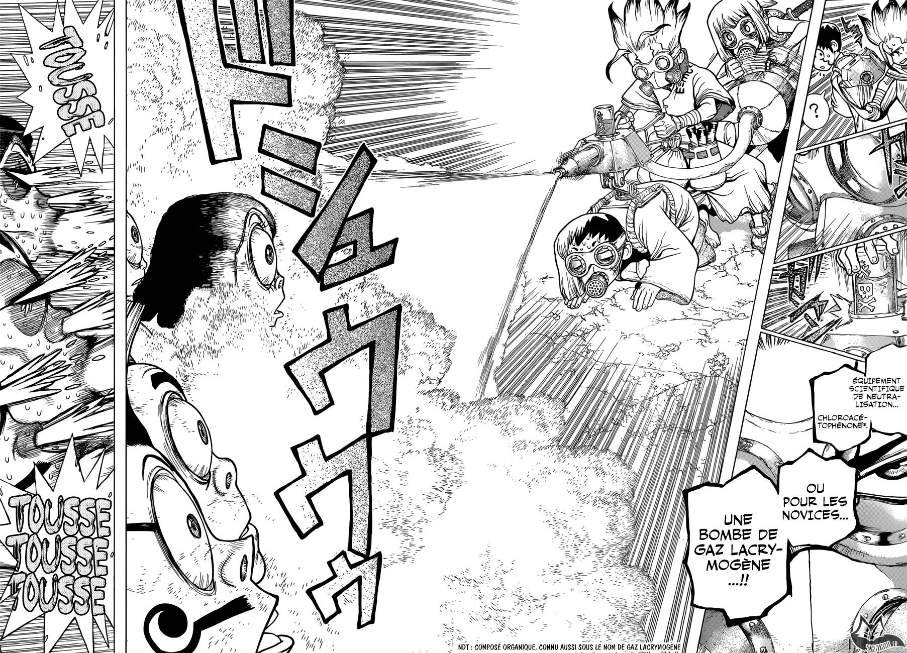 Lecture en ligne Dr Stone 105 page 14