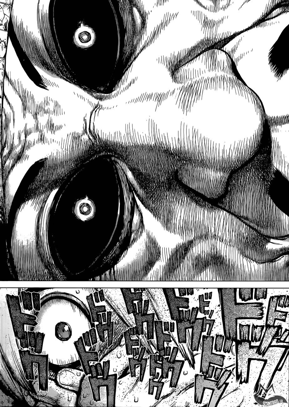 Lecture en ligne Dr Stone 108 page 16