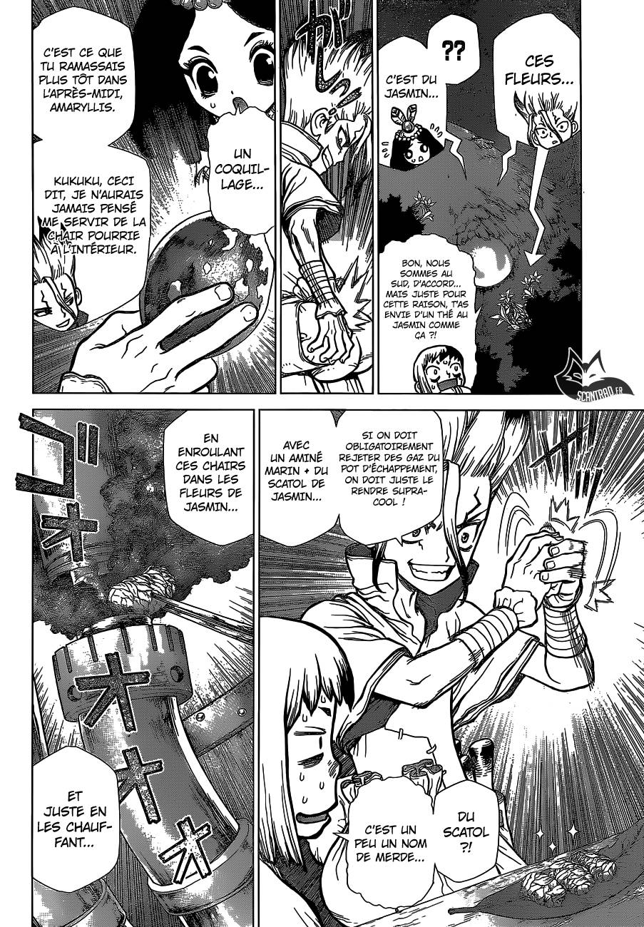 Lecture en ligne Dr Stone 109 page 16