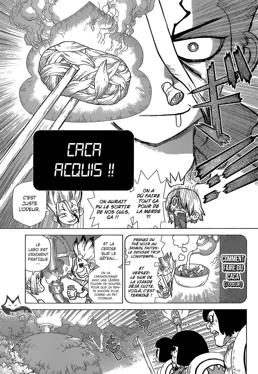 Lecture en ligne Dr Stone 109 page 17