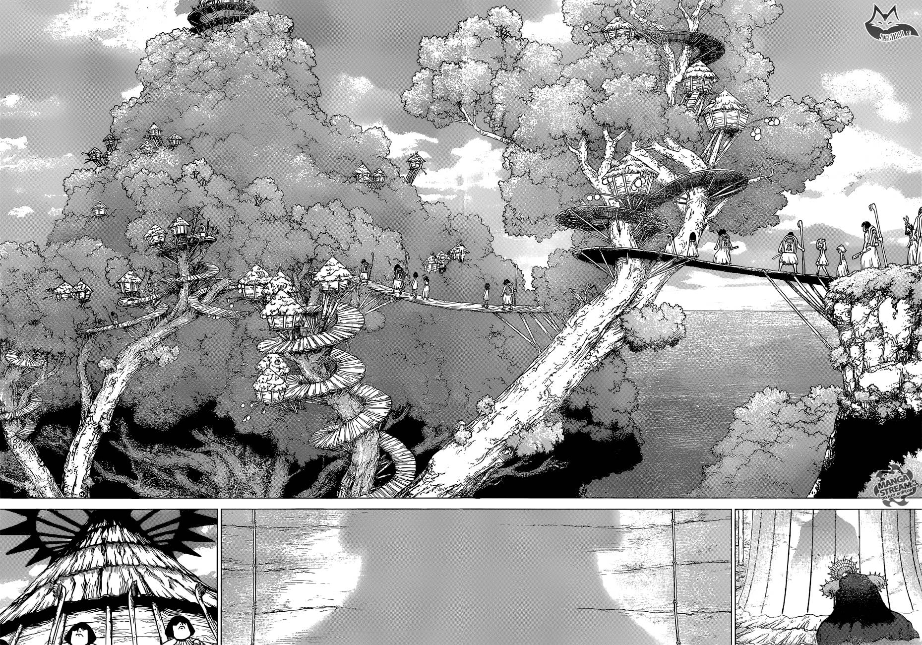 Lecture en ligne Dr Stone 112 page 11