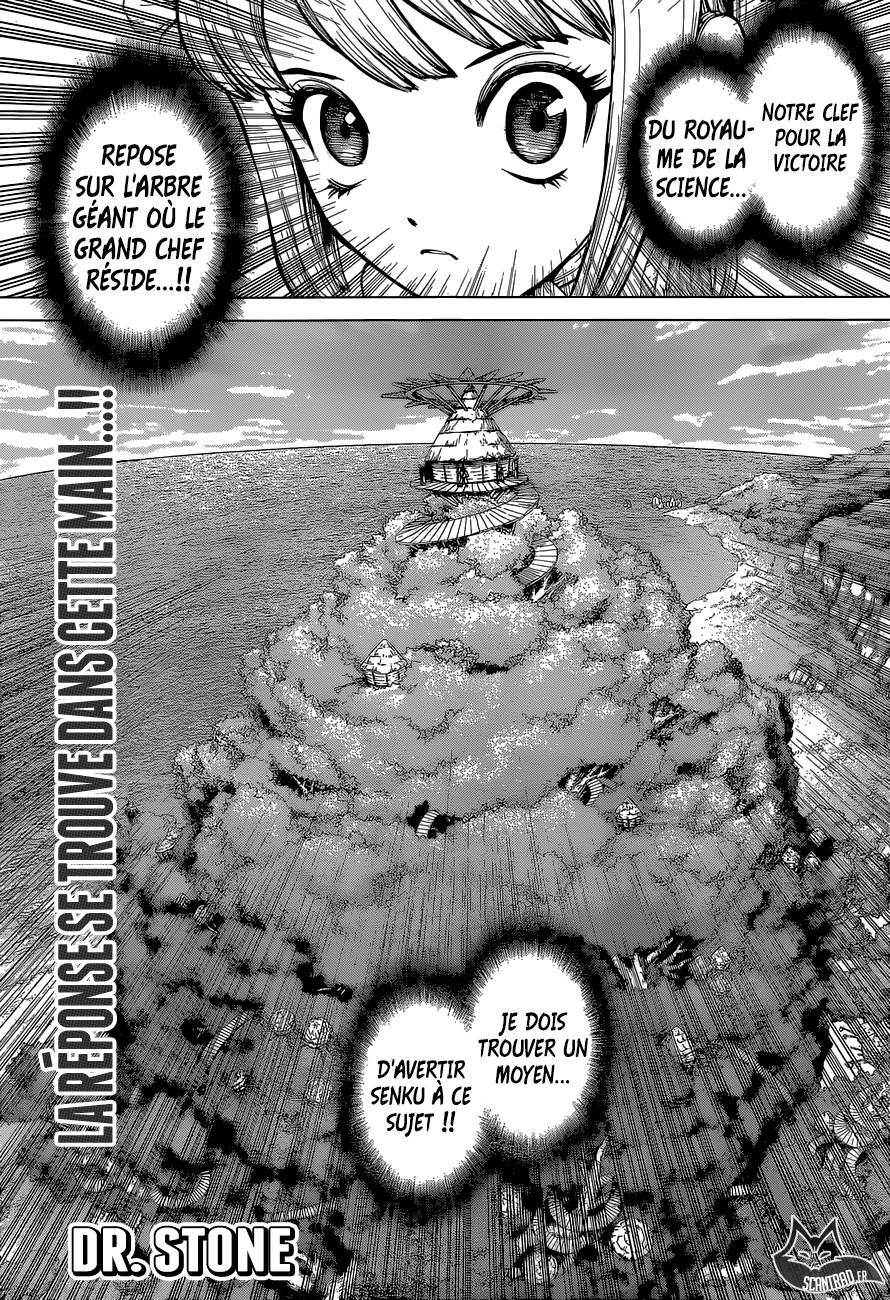 Lecture en ligne Dr Stone 113 page 1