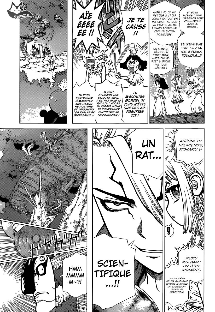 Lecture en ligne Dr Stone 113 page 4