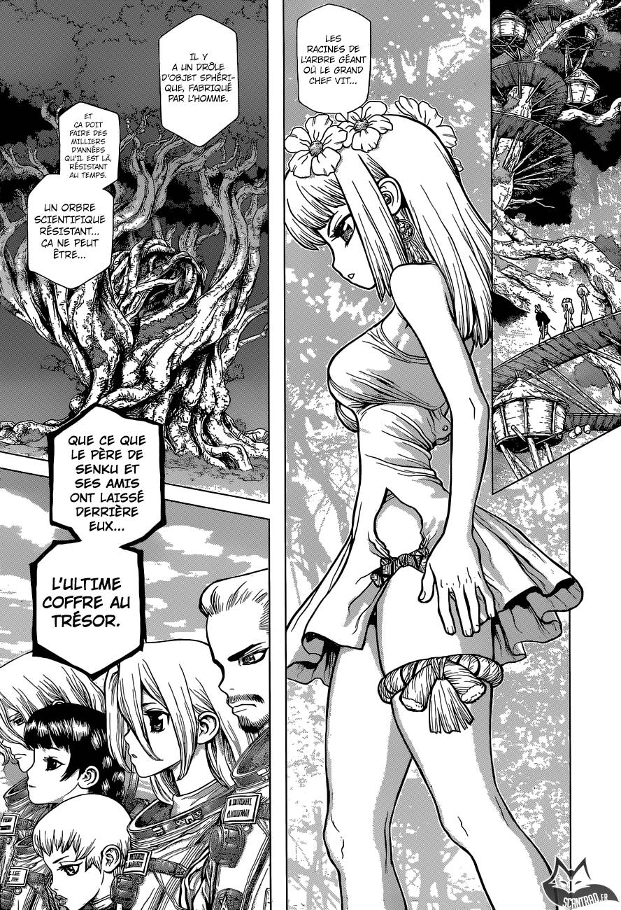 Lecture en ligne Dr Stone 113 page 16