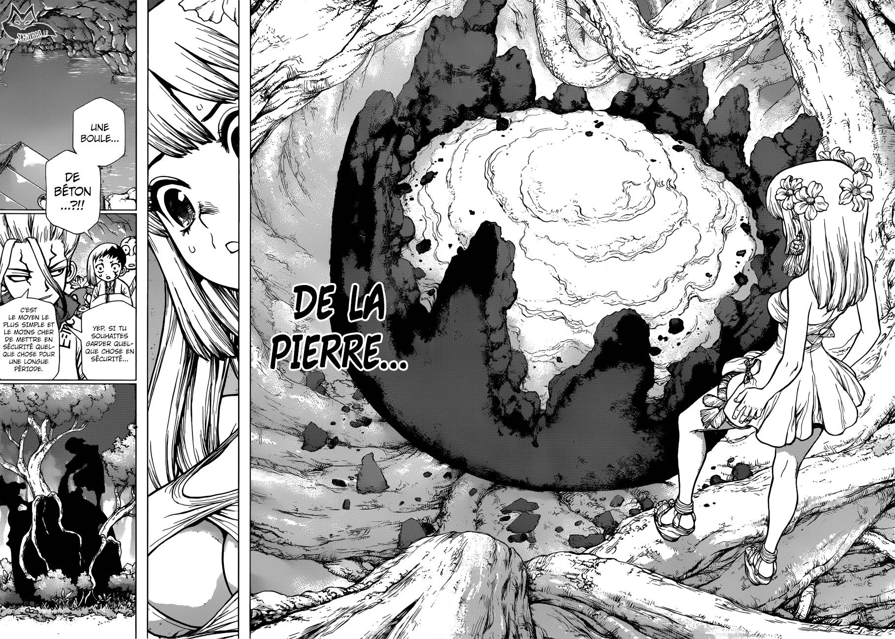 Lecture en ligne Dr Stone 114 page 5