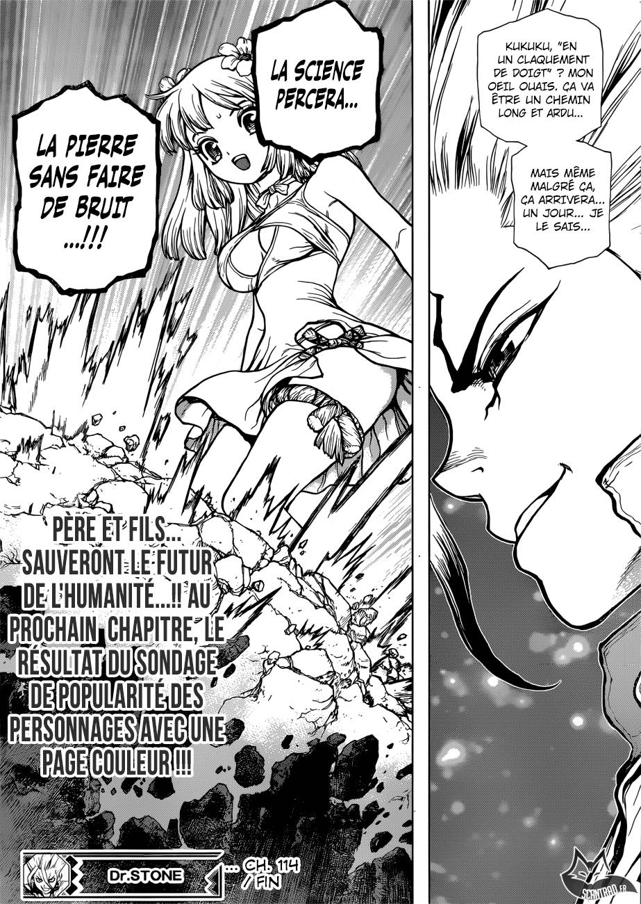 lecture en ligne Dr Stone 114 page 19