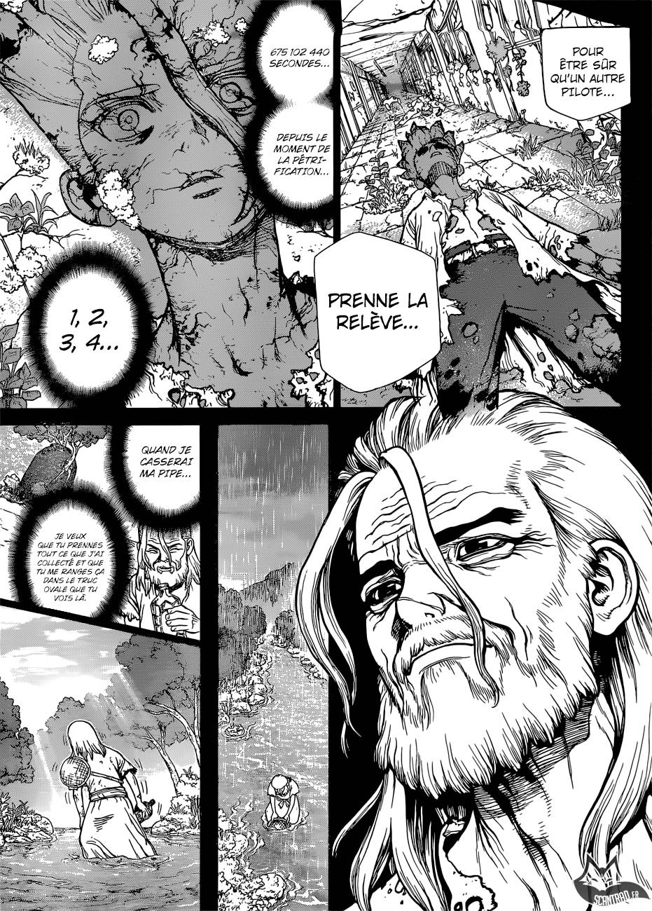 Lecture en ligne Dr Stone 115 page 13