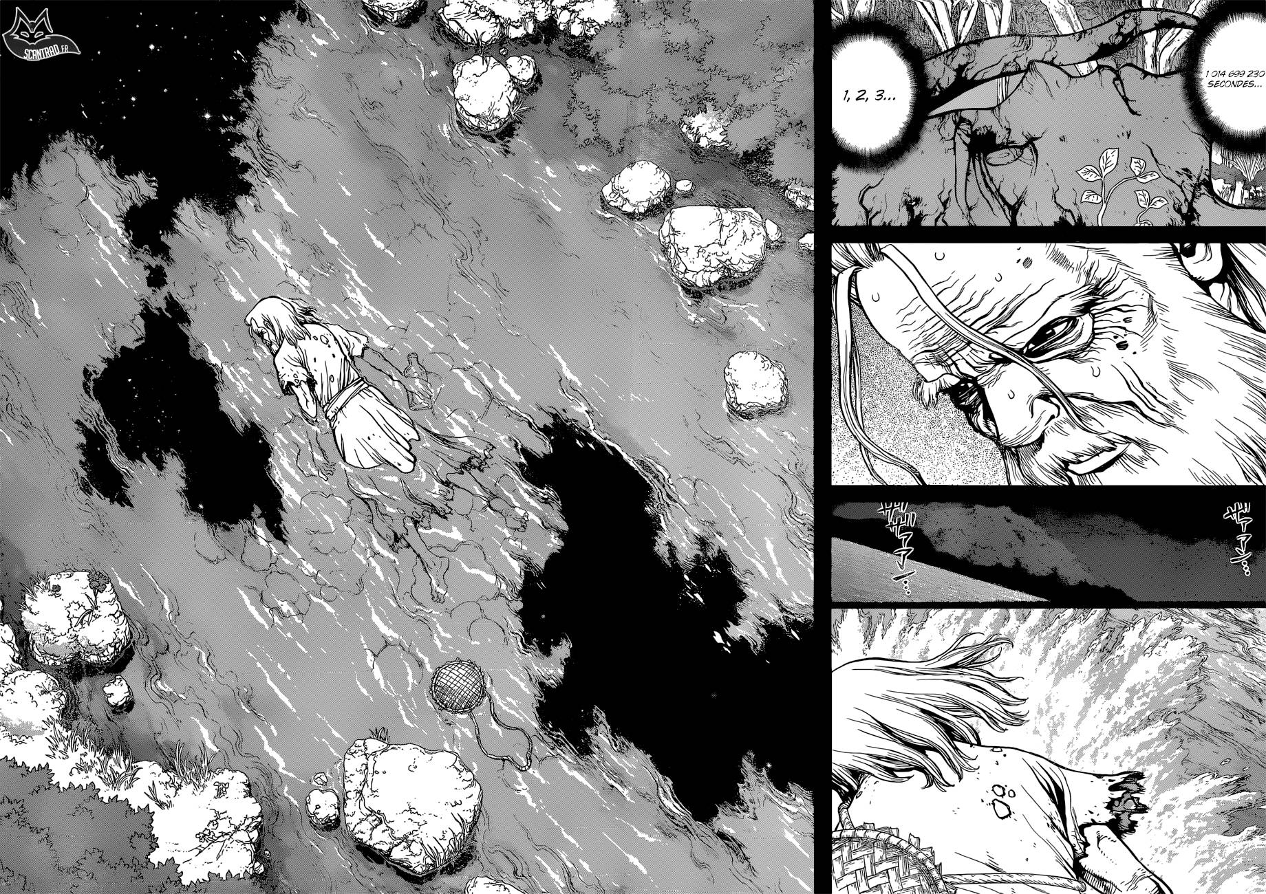 Lecture en ligne Dr Stone 115 page 14