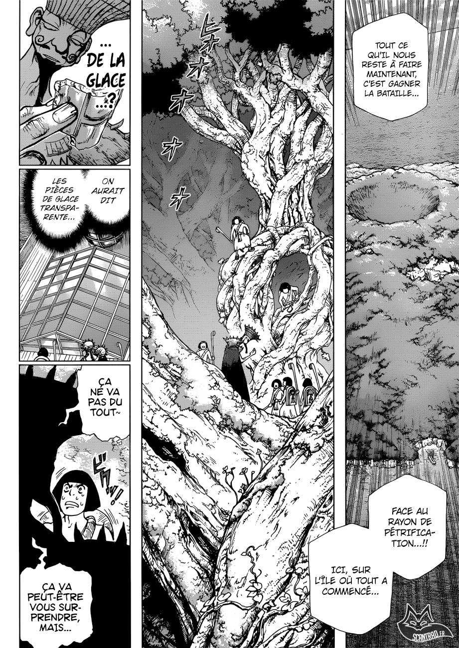 Lecture en ligne Dr Stone 116 page 5