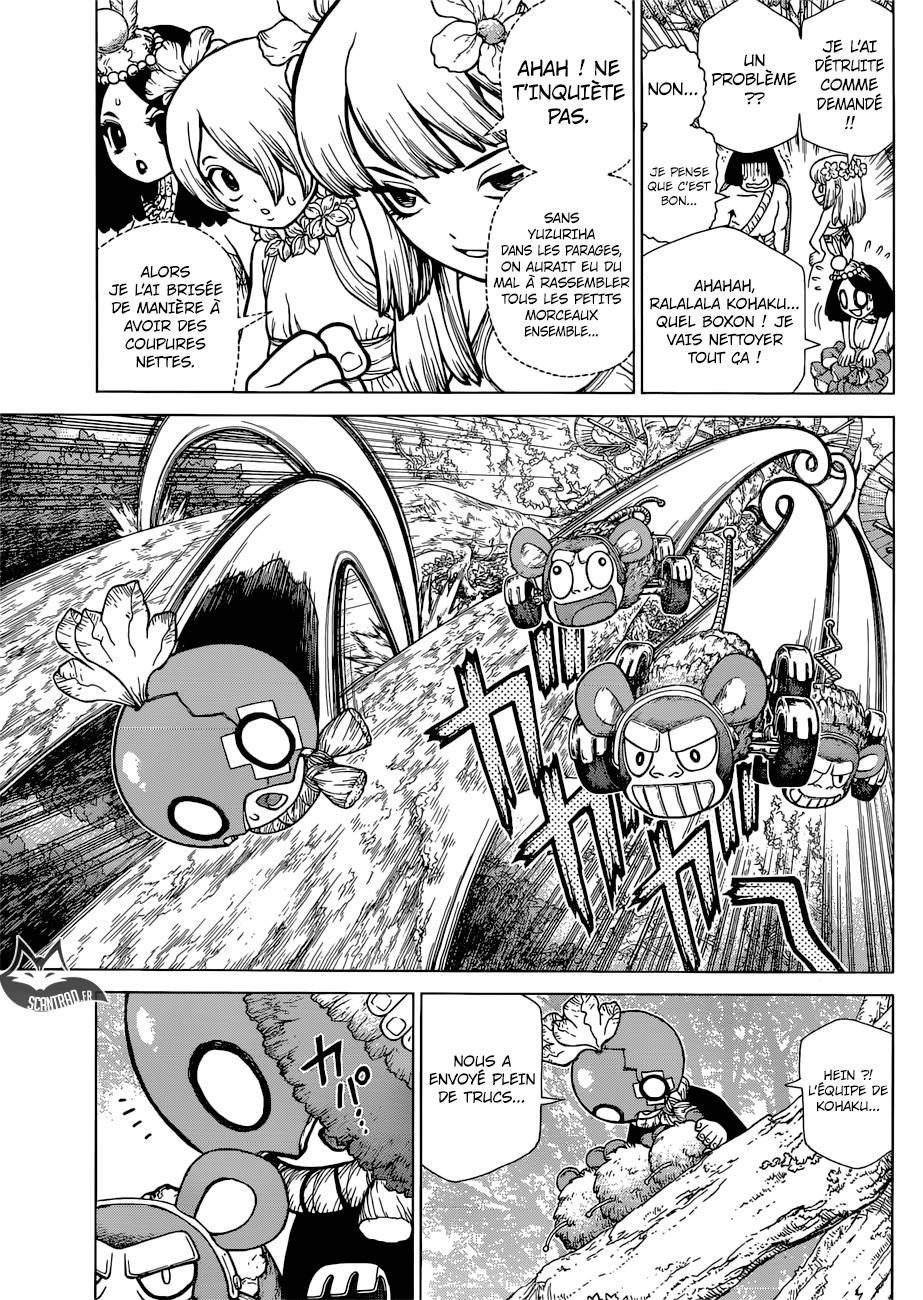 Lecture en ligne Dr Stone 116 page 14