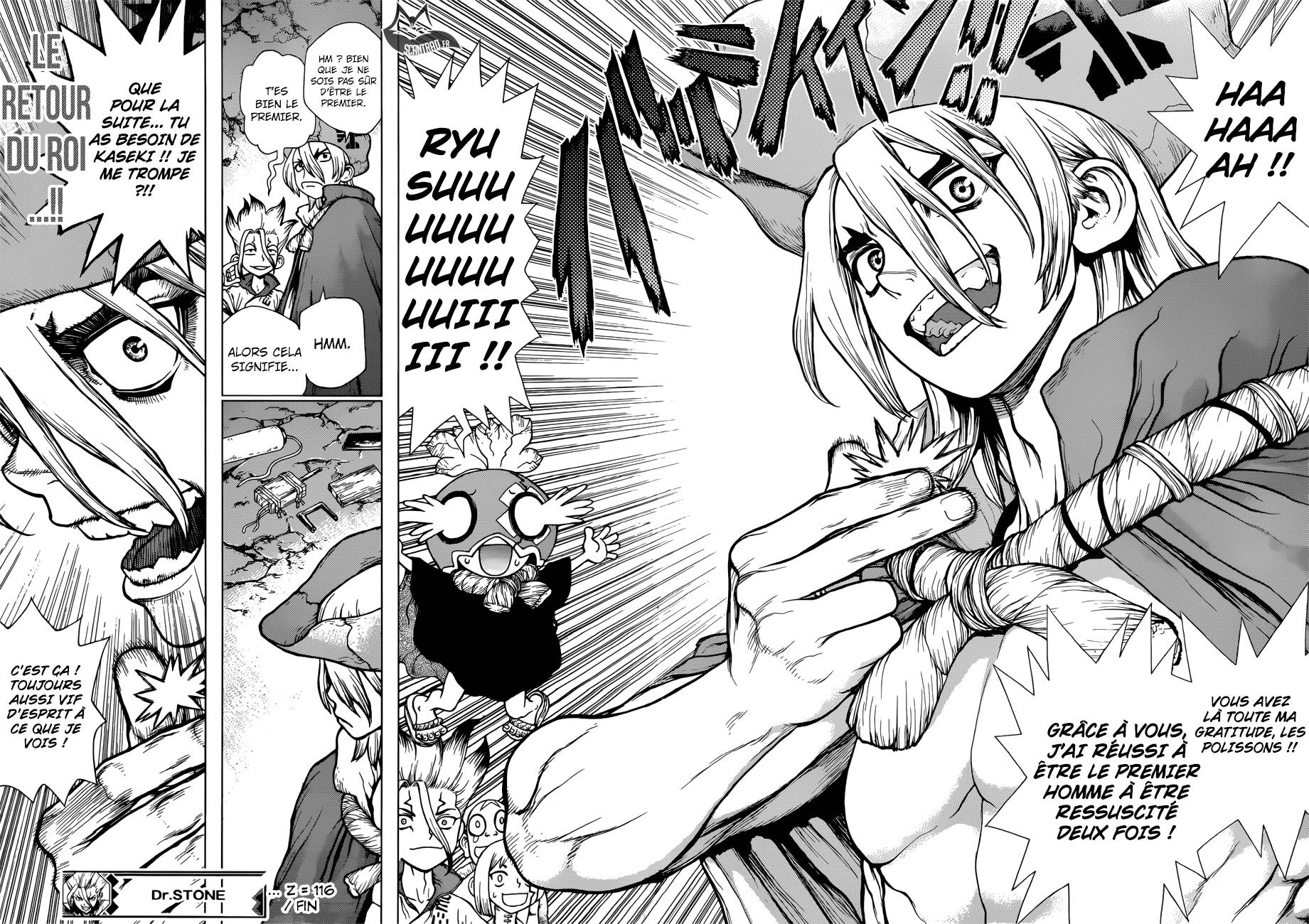 lecture en ligne Dr Stone 116 page 18
