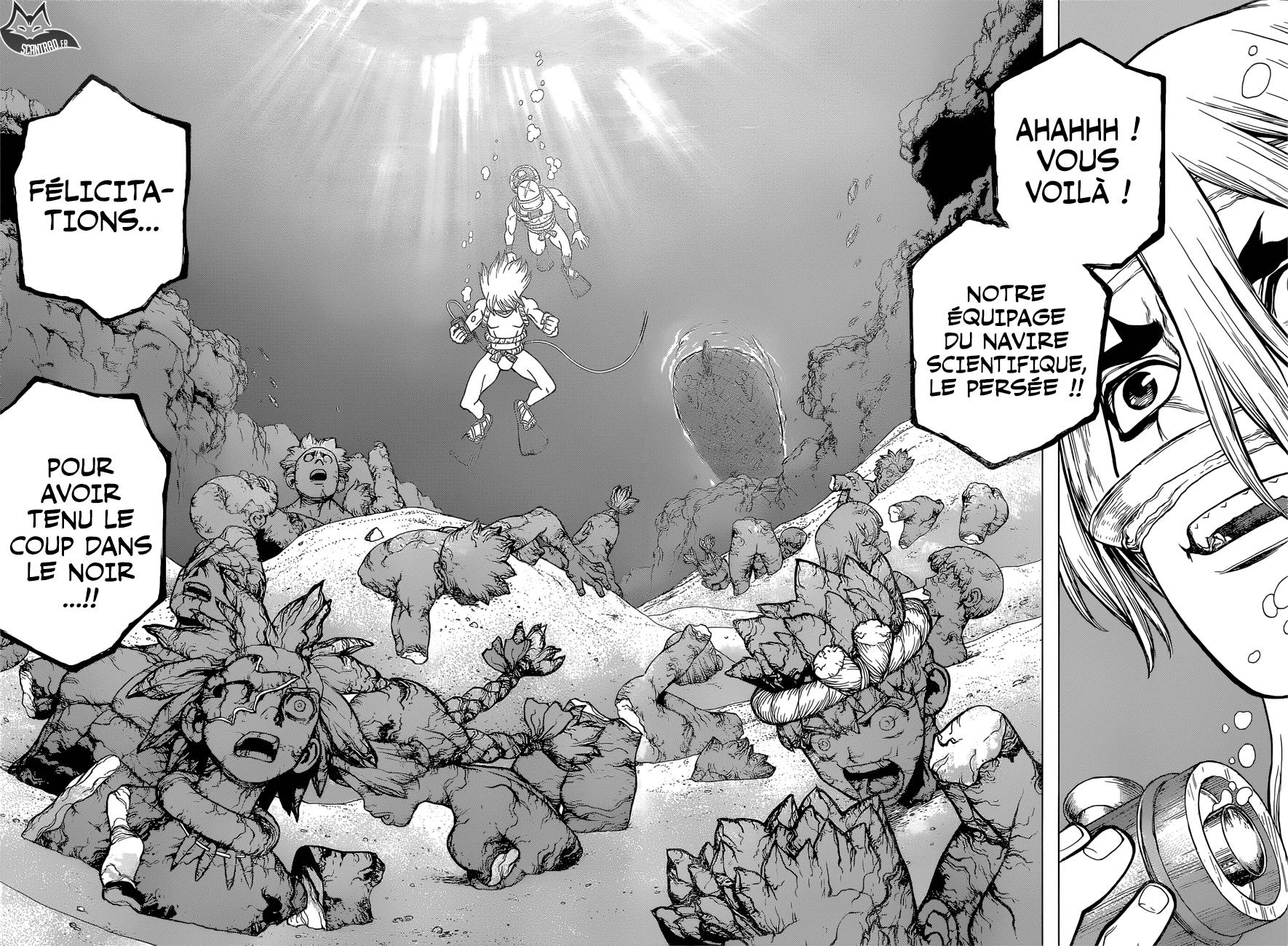 Dr Stone Scan 117 Vf
