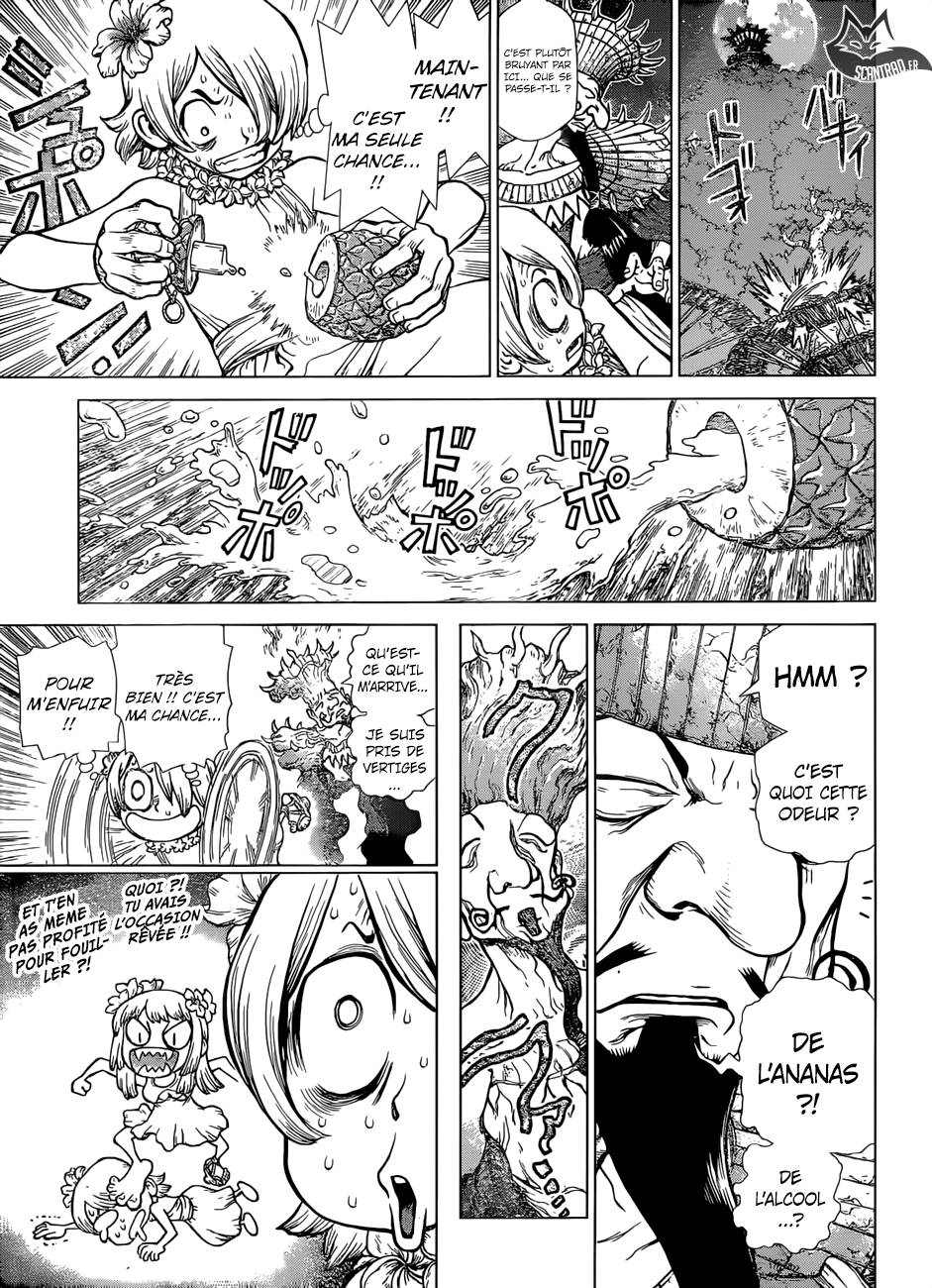Lecture en ligne Dr Stone 120 page 15