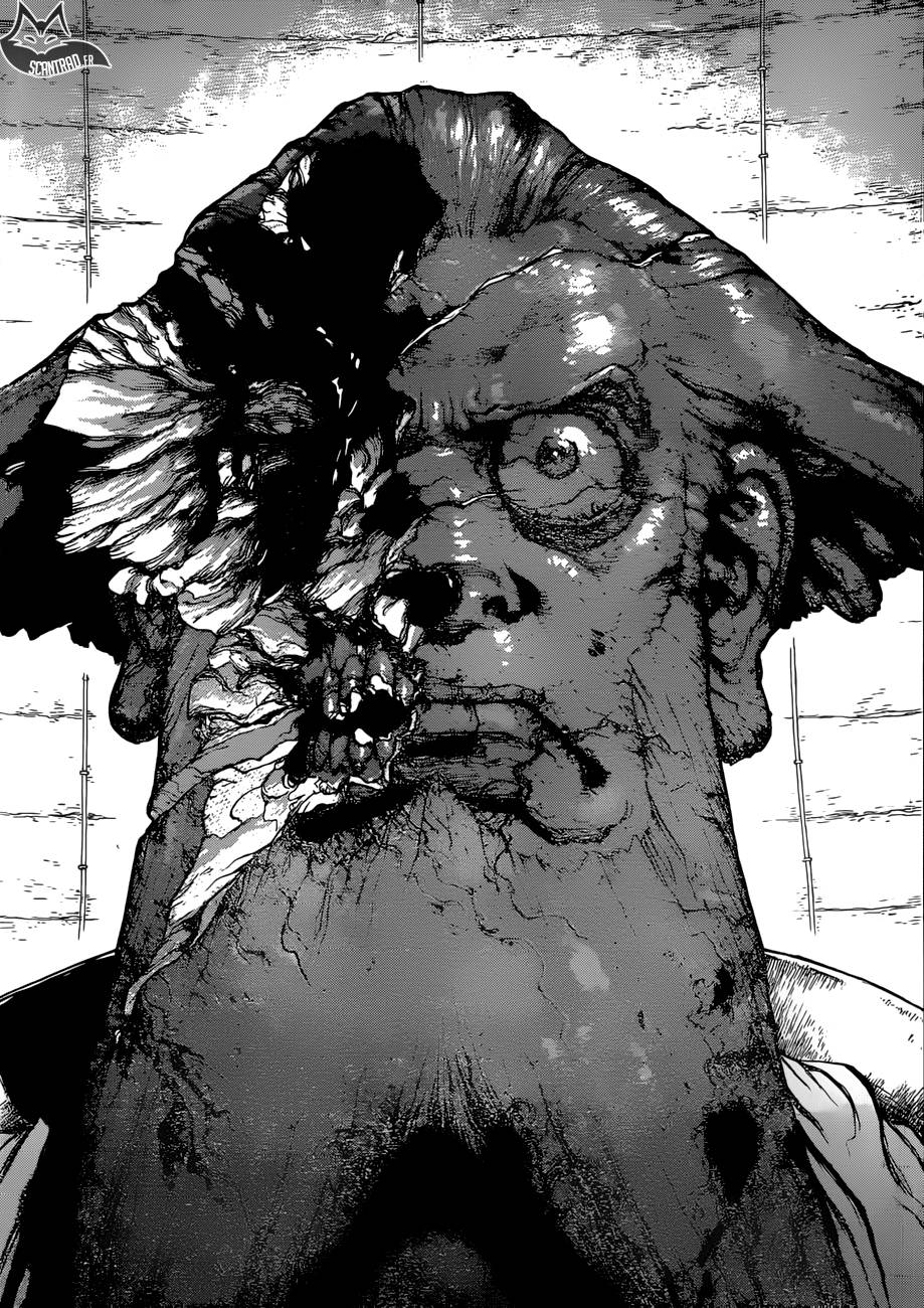 Lecture en ligne Dr Stone 120 page 18