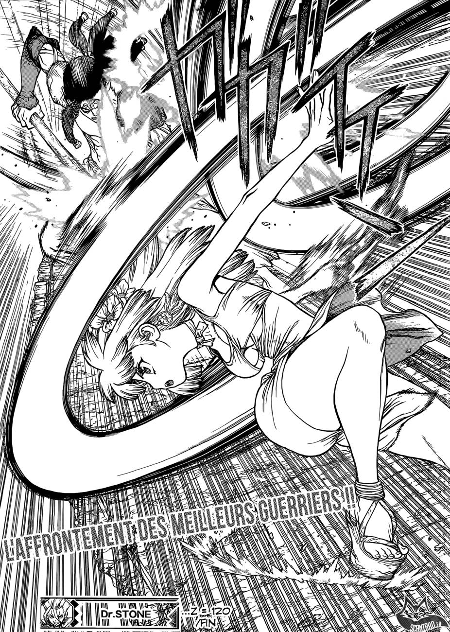 lecture en ligne Dr Stone 120 page 21