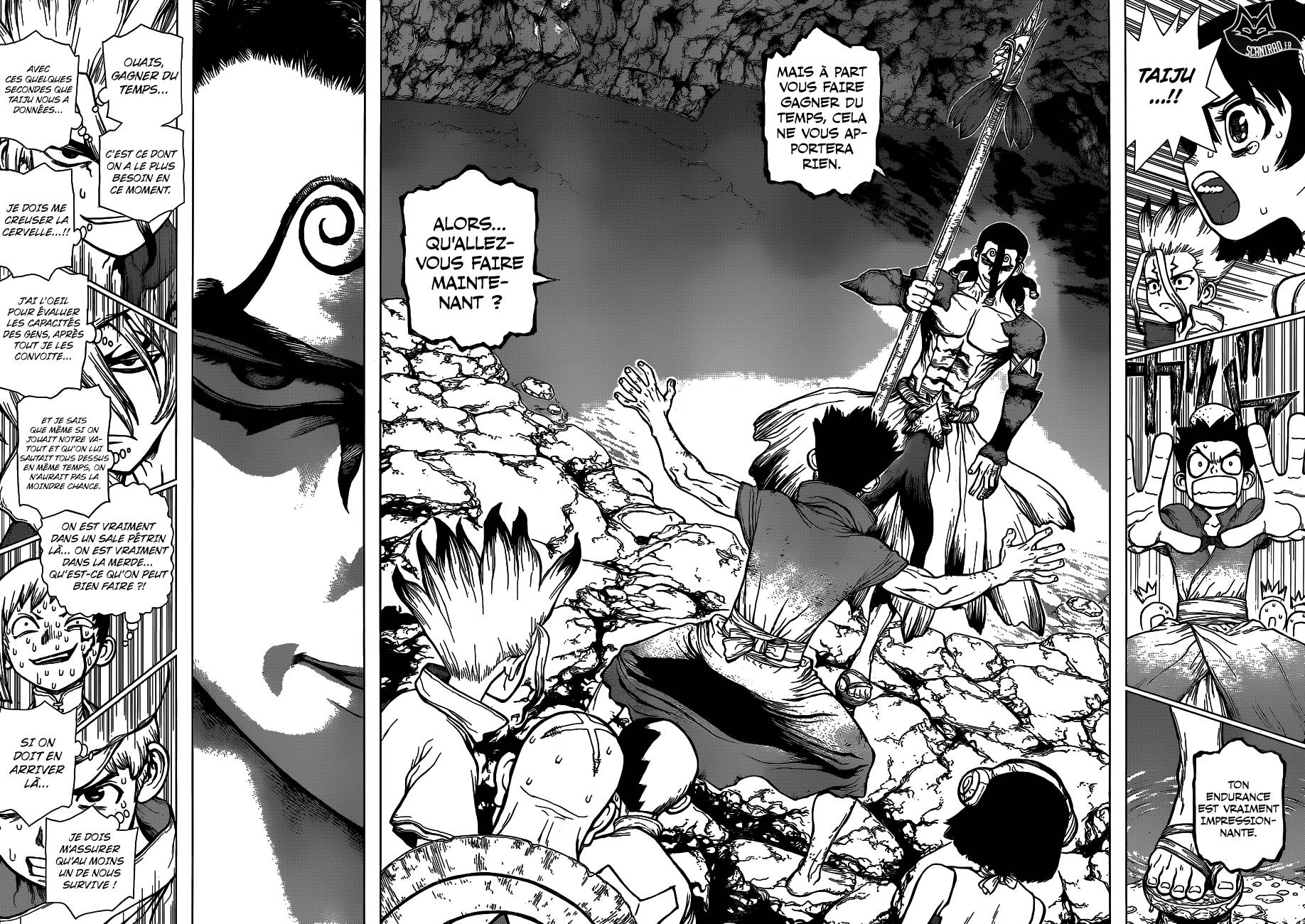Lecture en ligne Dr Stone 122 page 15