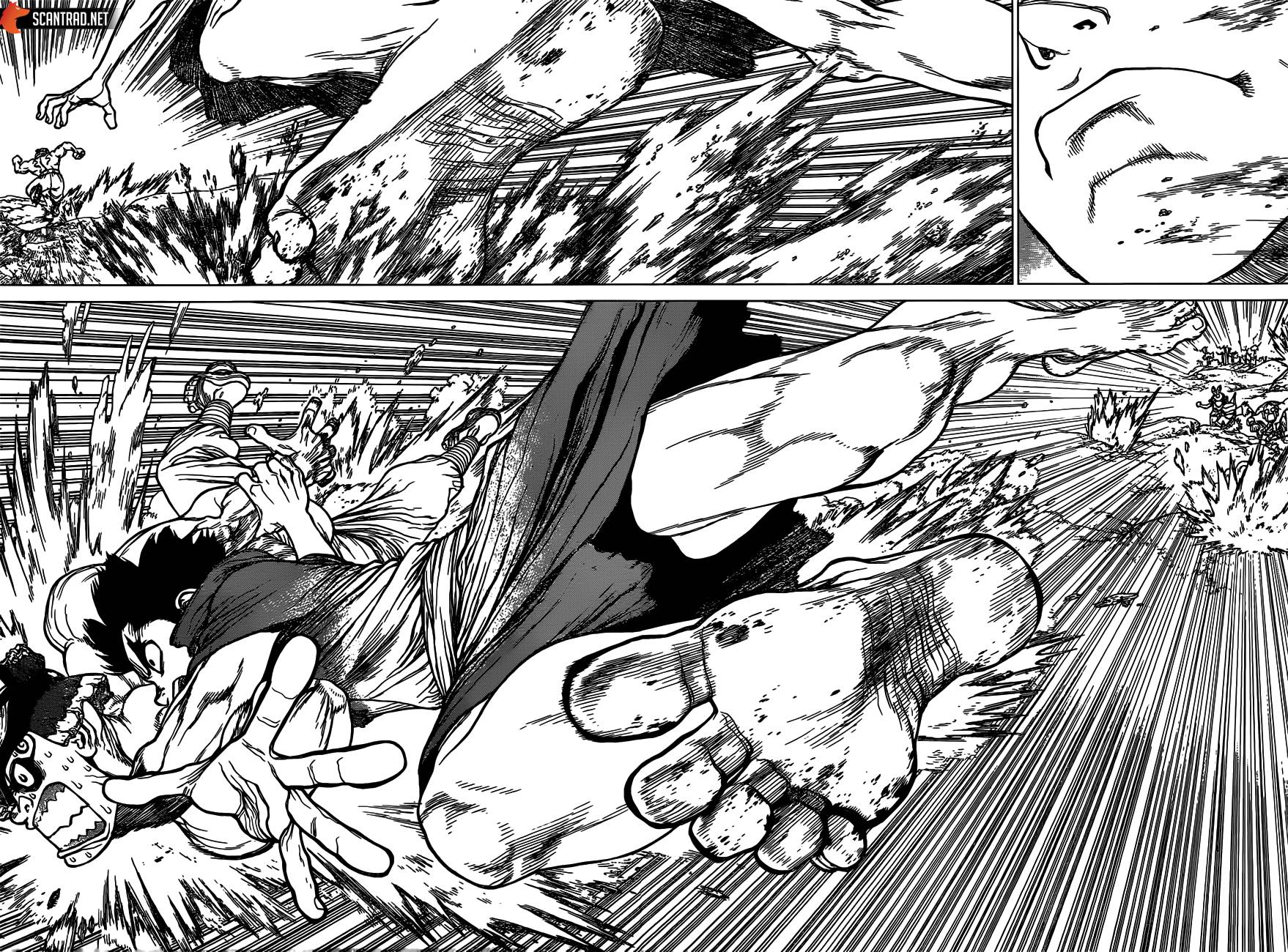 Lecture en ligne Dr Stone 133 page 12