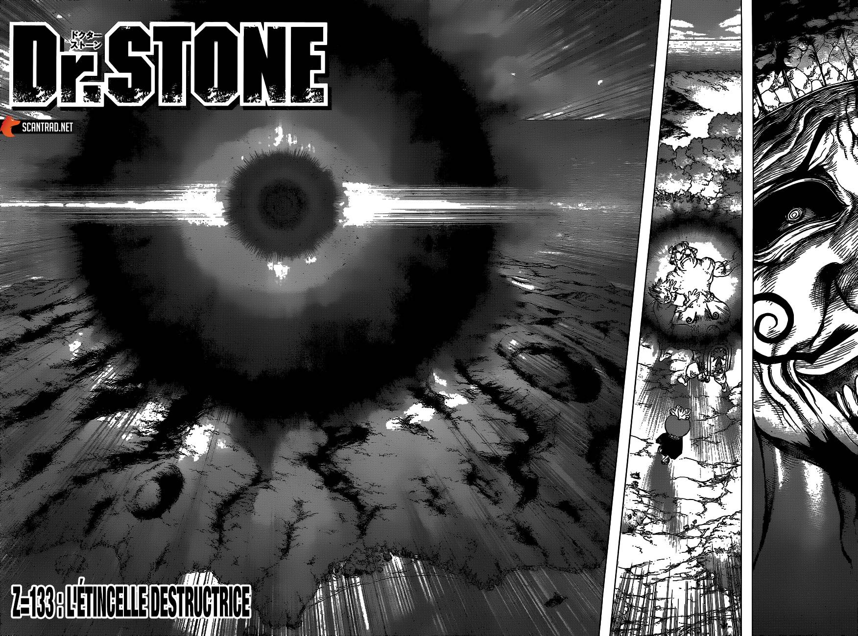Lecture en ligne Dr Stone 133 page 15