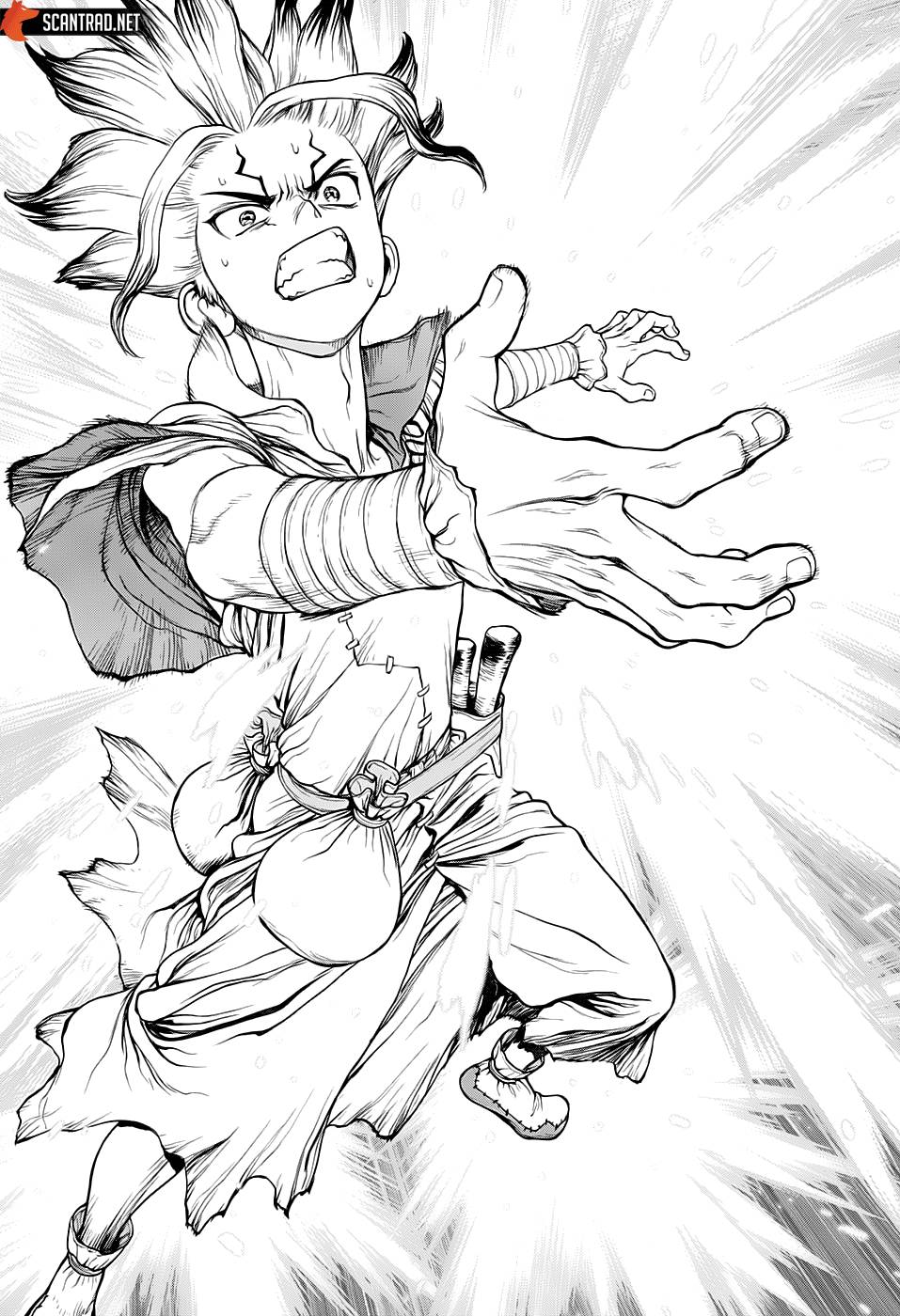 Lecture en ligne Dr Stone 135 page 11