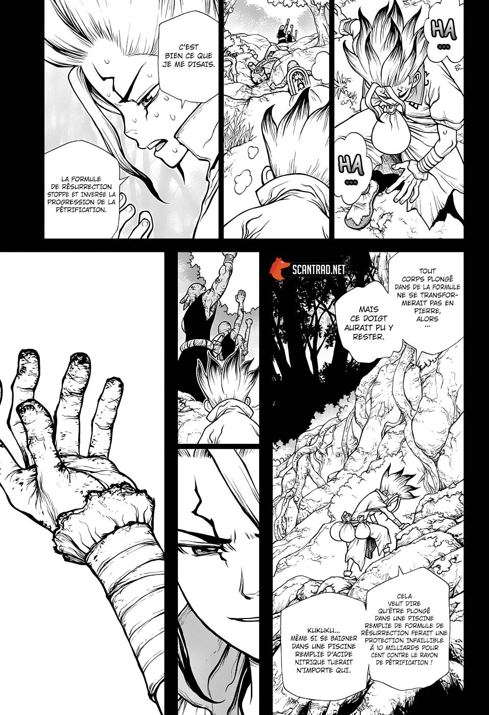 Lecture en ligne Dr Stone 135 page 12