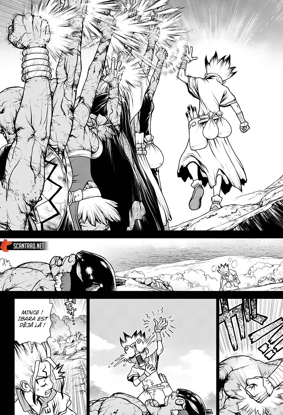 Lecture en ligne Dr Stone 135 page 13