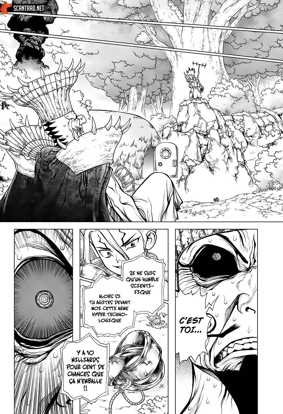 Lecture en ligne Dr Stone 135 page 15