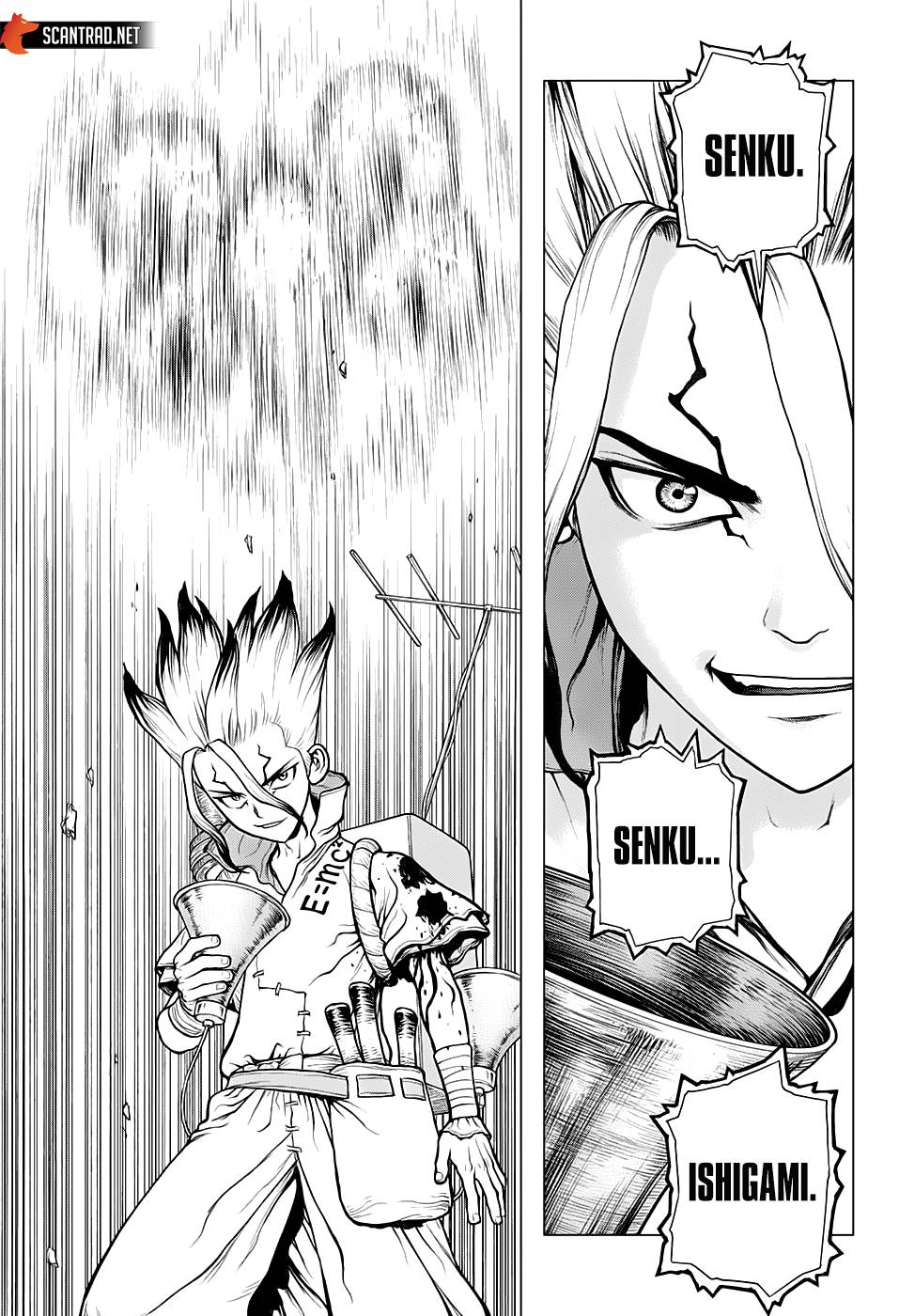 Lecture en ligne Dr Stone 136 page 14