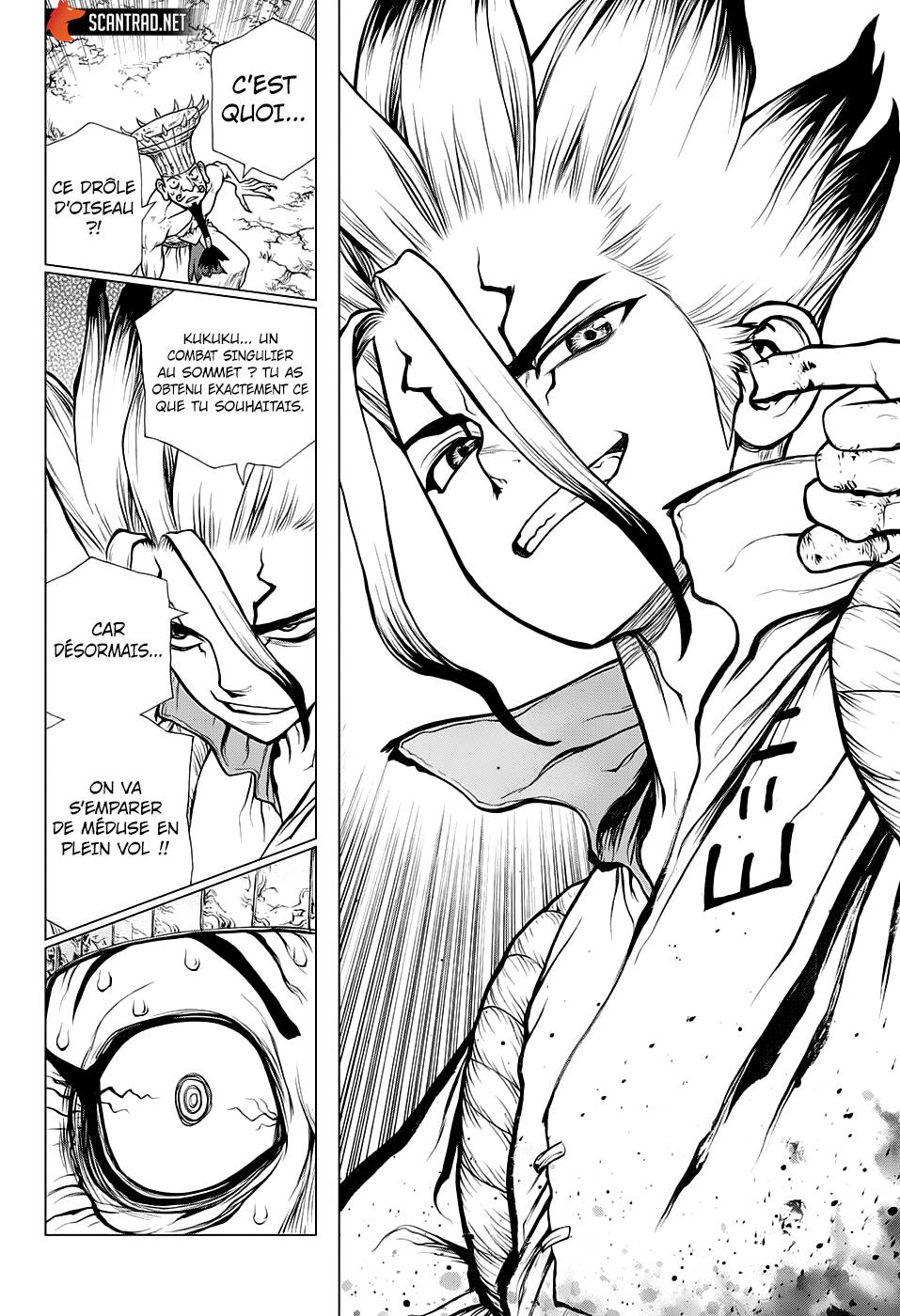 Lecture en ligne Dr Stone 136 page 17