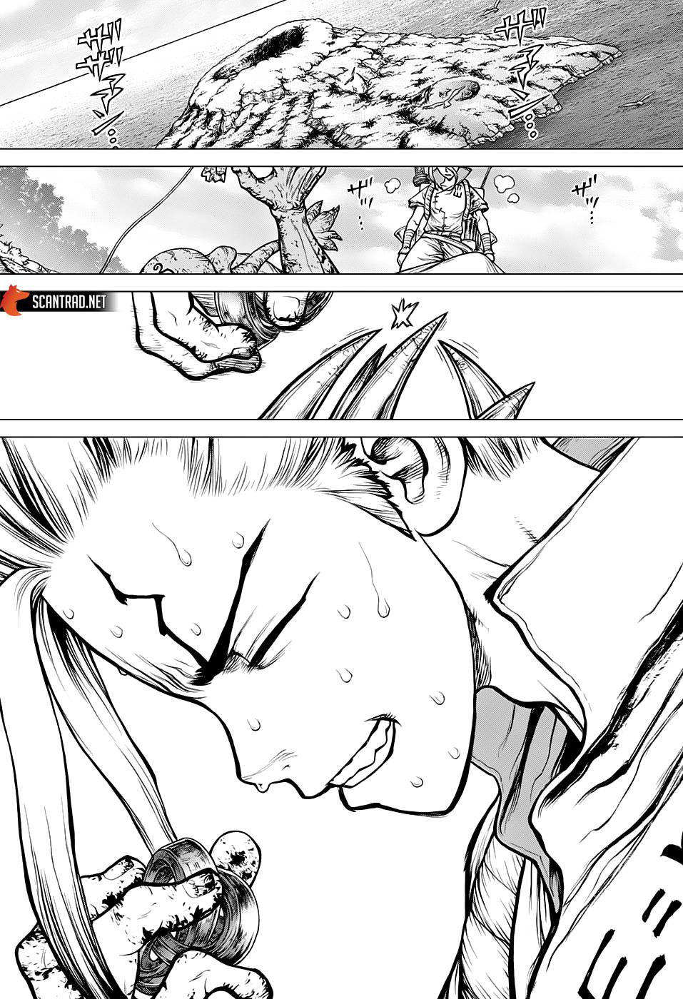 Lecture en ligne Dr Stone 137 page 13