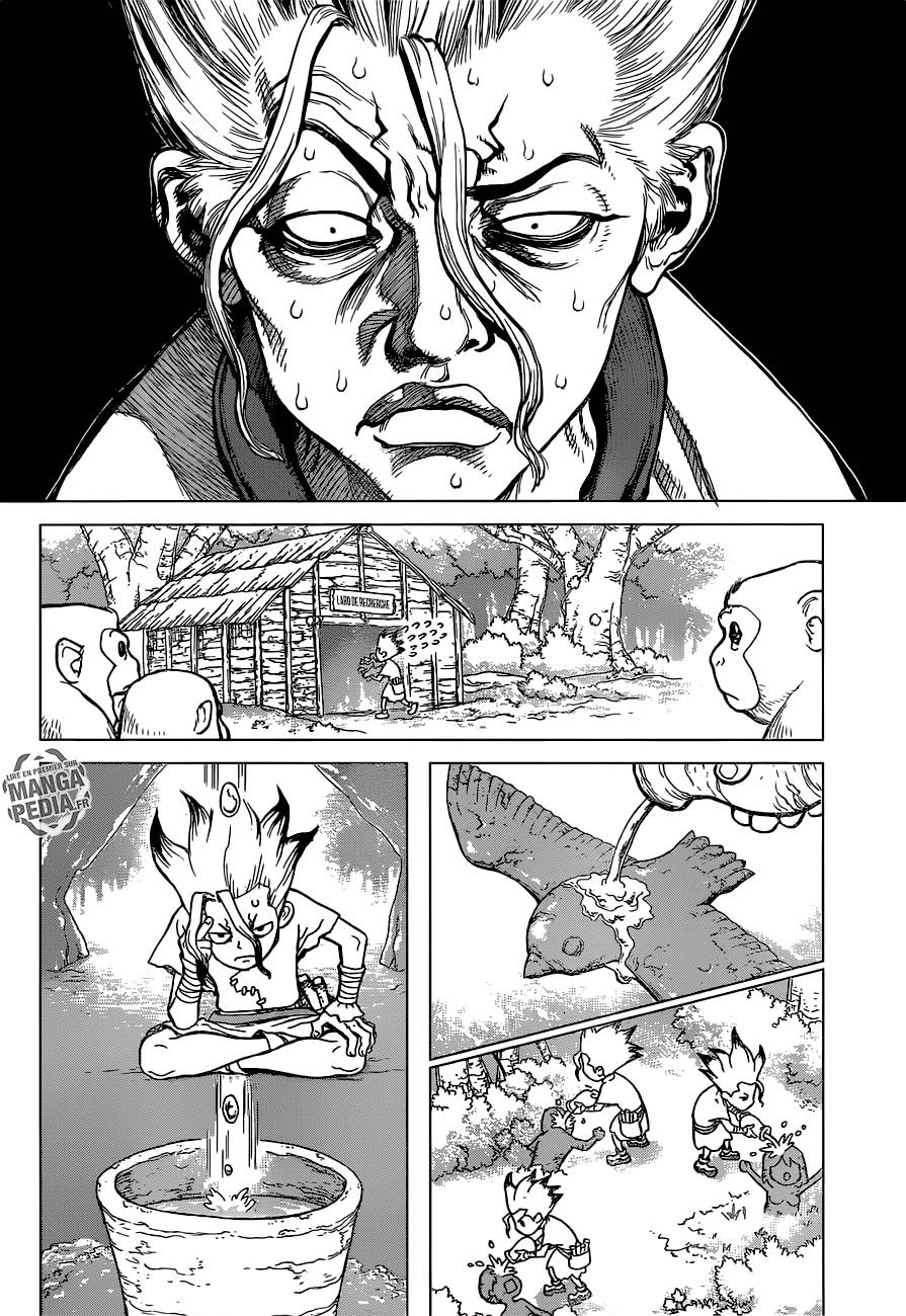 Lecture en ligne Dr Stone 14 page 12