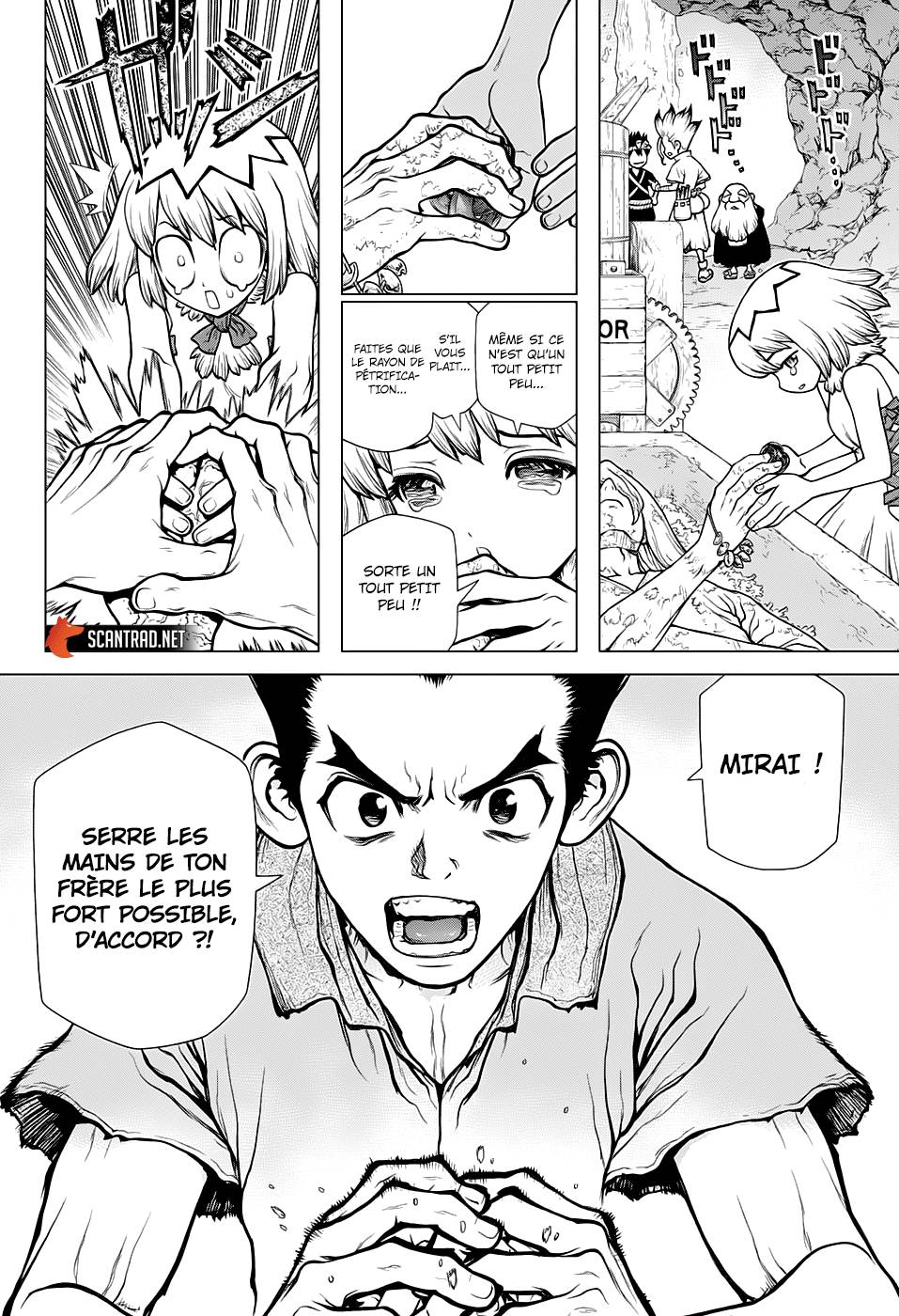 Lecture en ligne Dr Stone 141 page 8