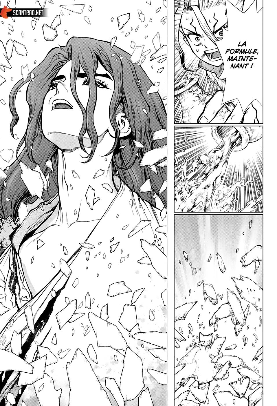 Lecture en ligne Dr Stone 141 page 11