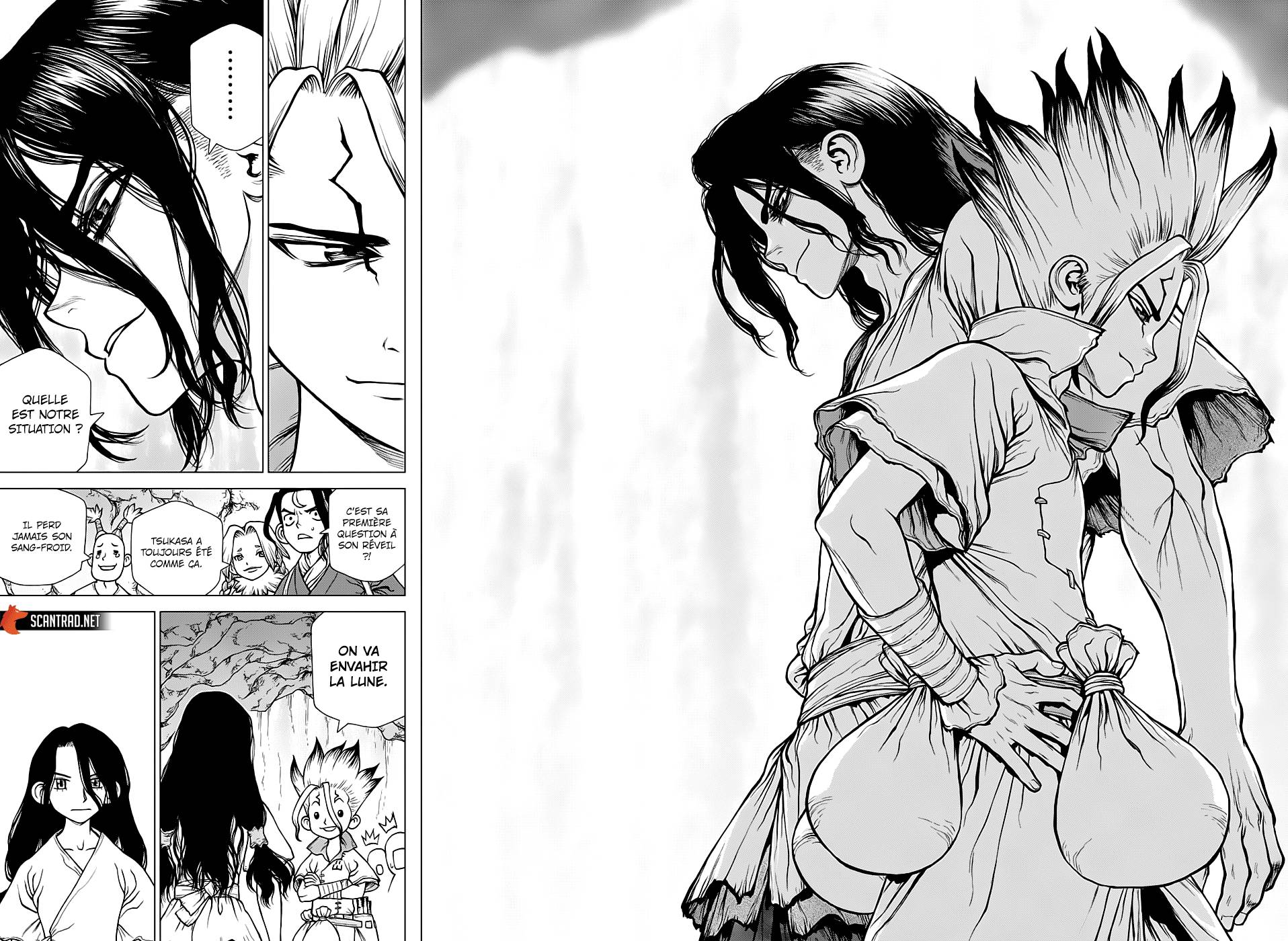 Lecture en ligne Dr Stone 141 page 14