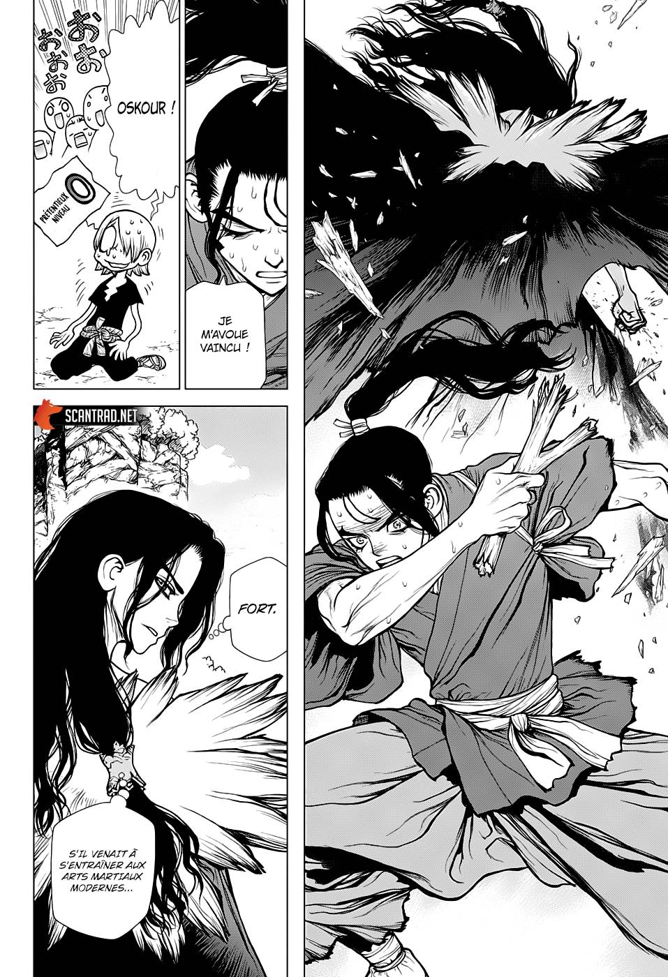 Lecture en ligne Dr Stone 141 page 17