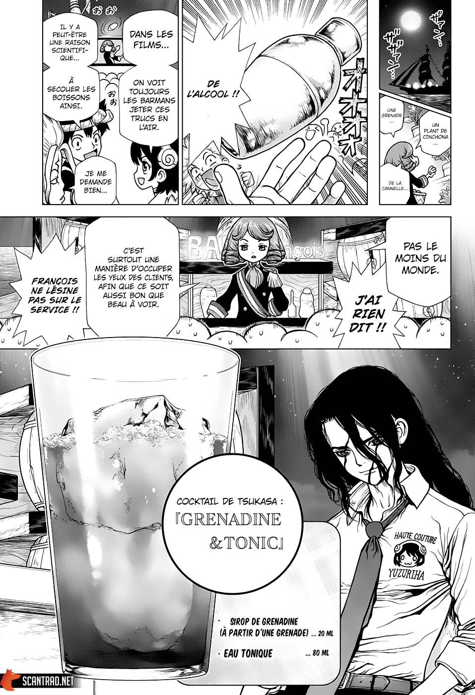 Lecture en ligne Dr Stone 145 page 12